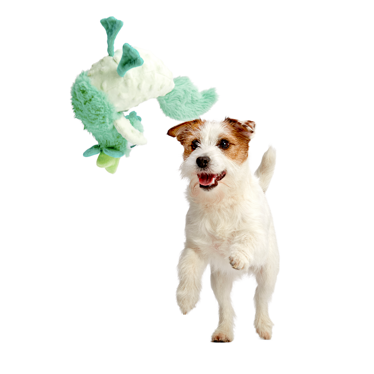 Poultrygeist Plush Tug Dog Toy
