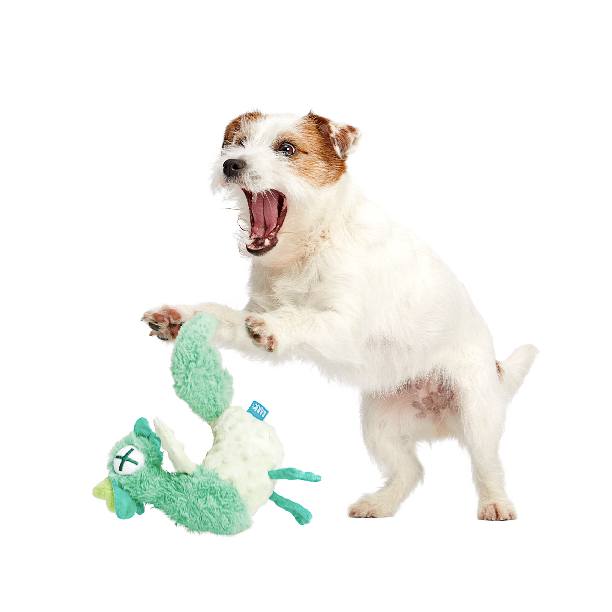 Poultrygeist Plush Tug Dog Toy