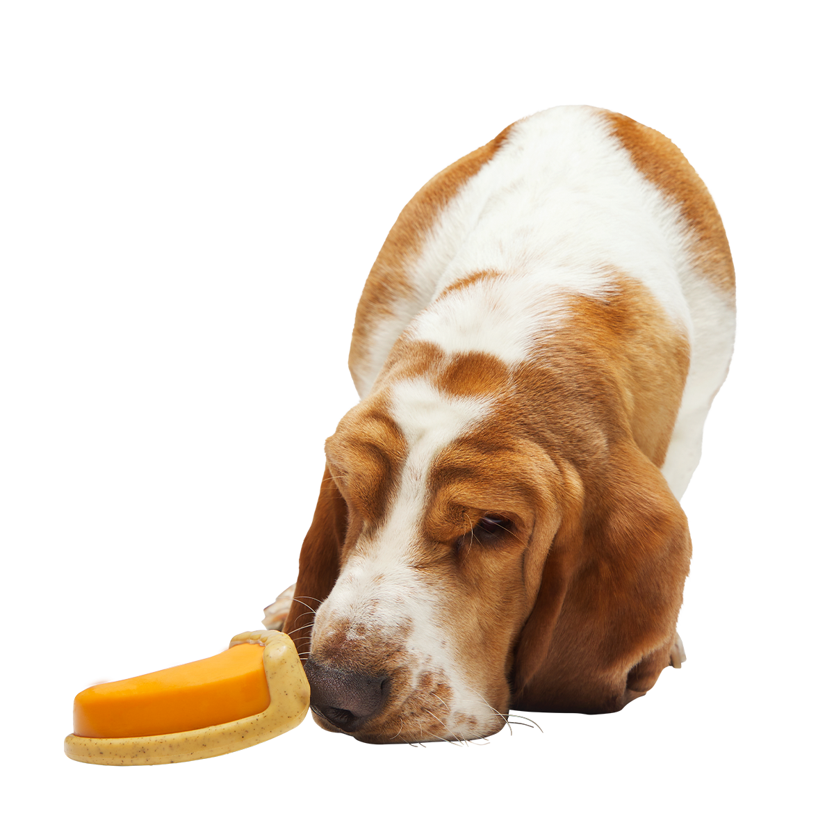 Powered Up Pie Super Chewer Durable Gnaw Dog Toy