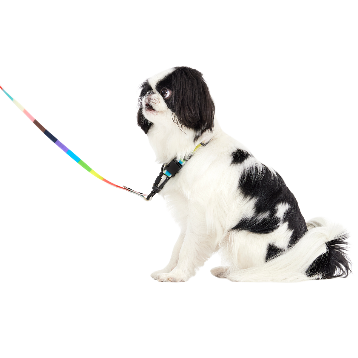 Pride Walking Gear Bundle