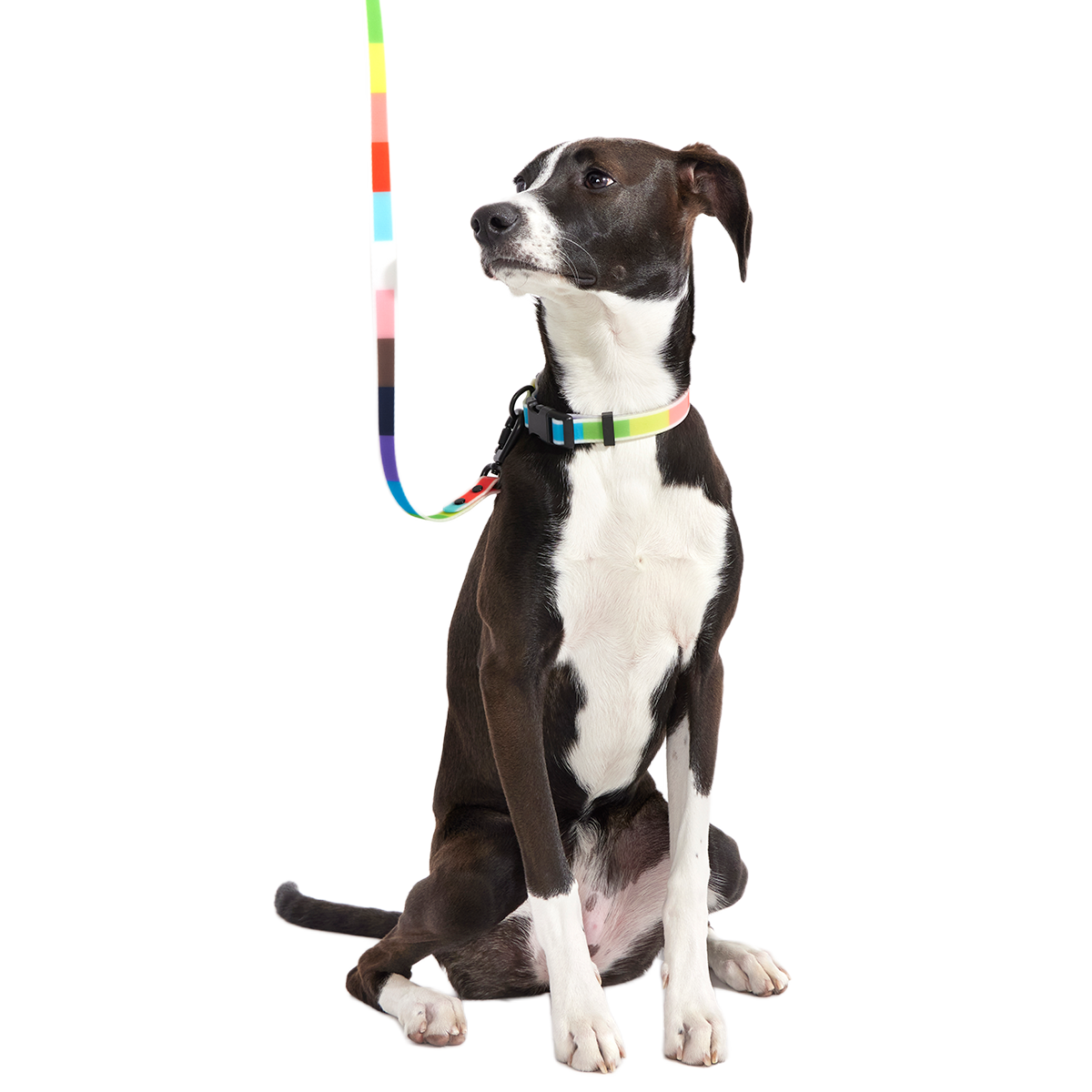 Pride Walking Gear Bundle