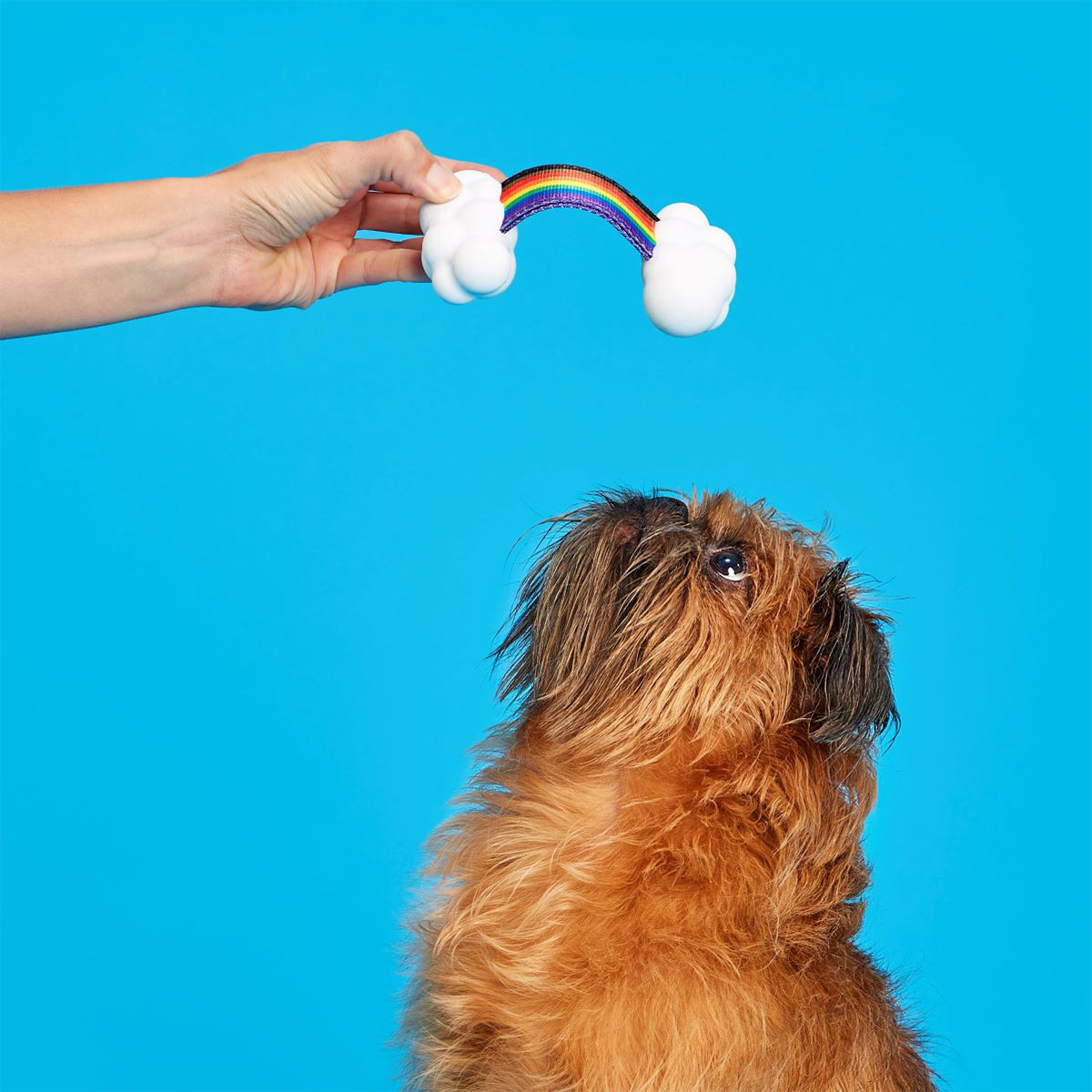 Proud Pup Rainbow Super Chewer Durable Tug Dog Toy