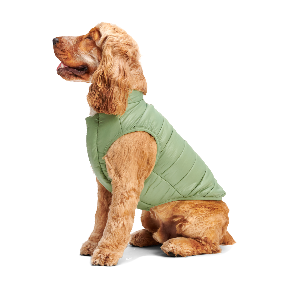 #Color_Green