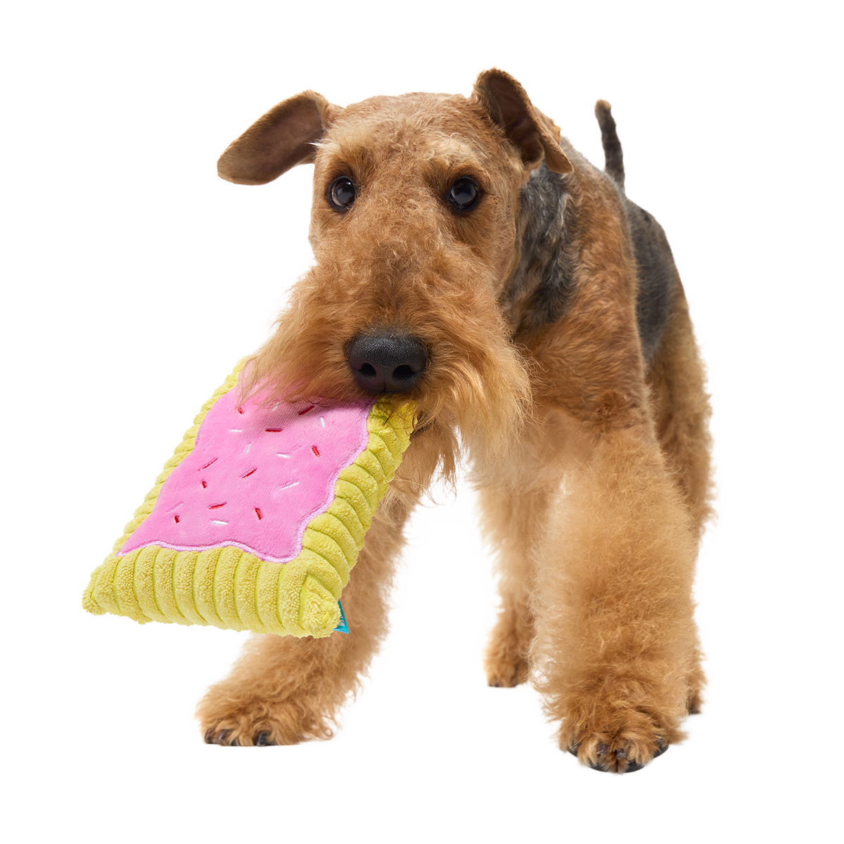 Pup Tart Plush Tug Dog Toy