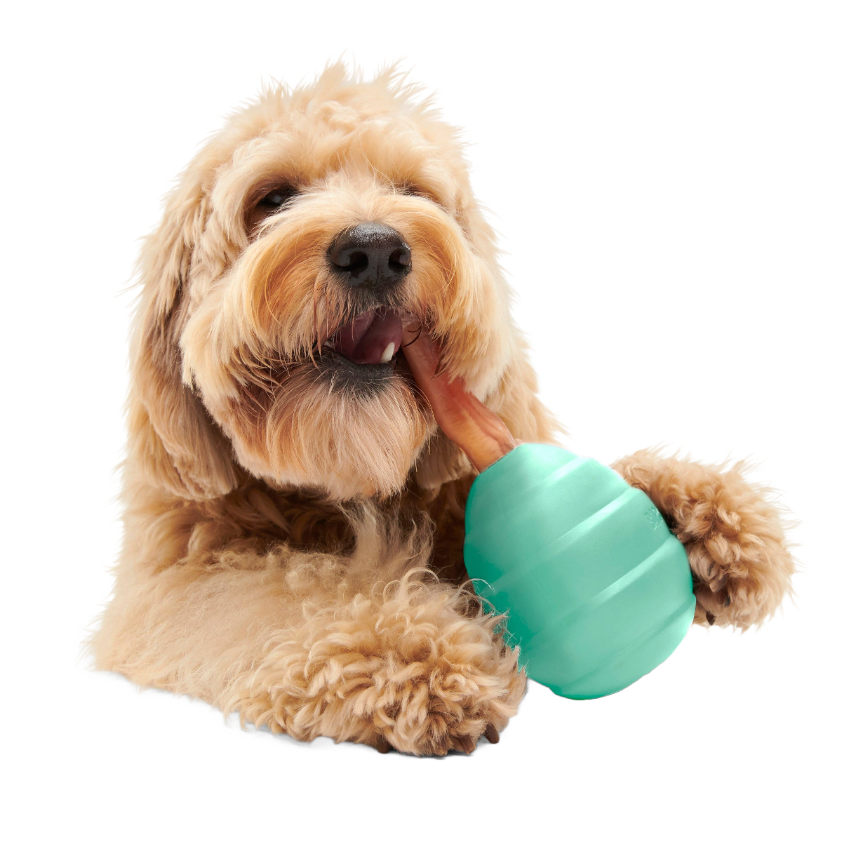 Pup's Treat Pinecone Super Chewer Durable Enrichment + Fetch Dog Toy