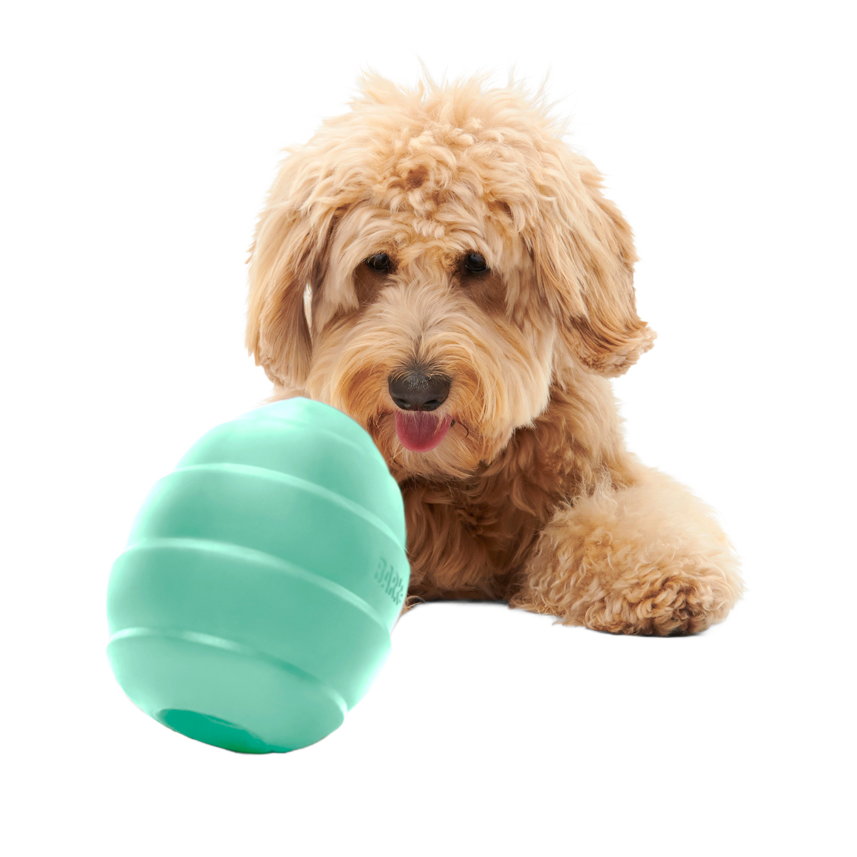 Pup's Treat Pinecone Super Chewer Durable Enrichment + Fetch Dog Toy