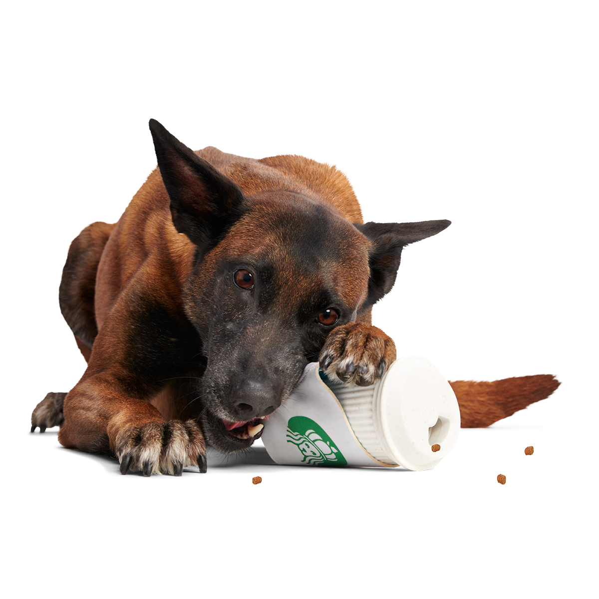 Pupkin Spice Yappuccino Super Chewer Durable 2-in-1 + Enrichment Dog Toy