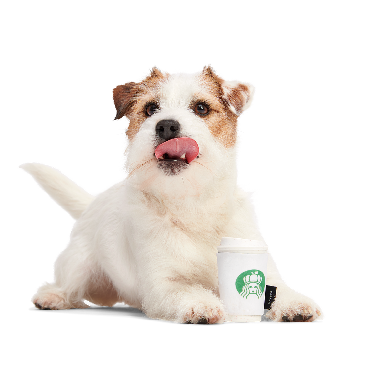 Pupkin Spice Yappuccino Super Chewer Durable 2-in-1 + Enrichment Dog Toy