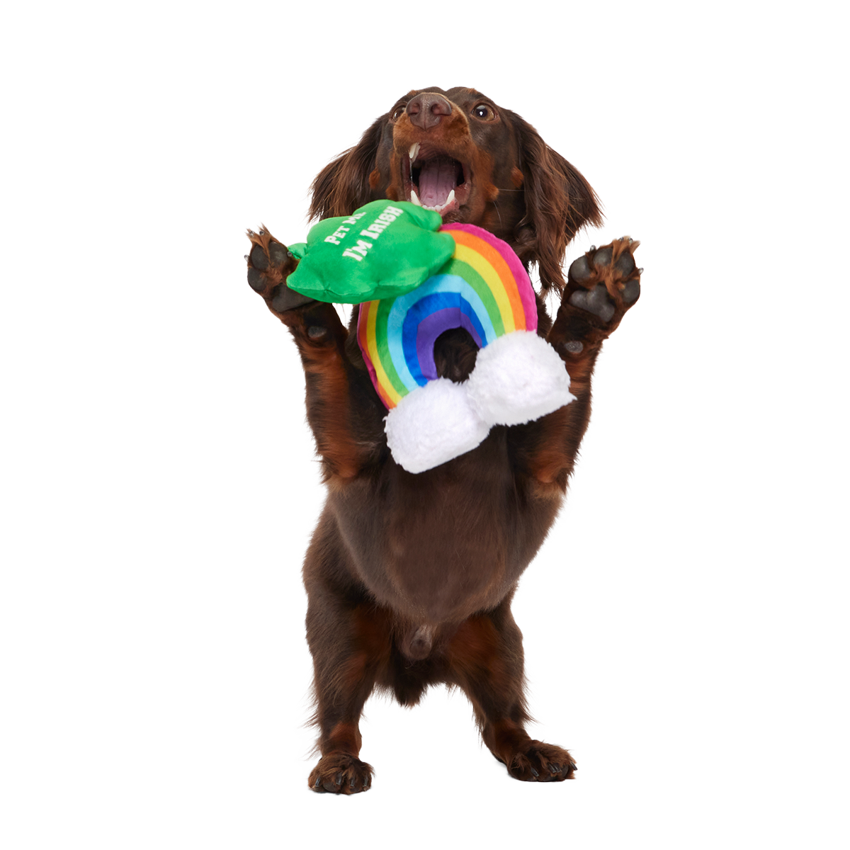 Puppy Charms Plush Multi-Part Dog Toy