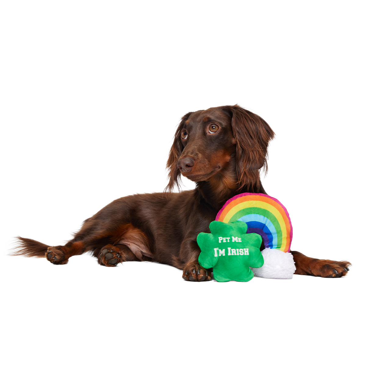 Puppy Charms Plush Multi-Part Dog Toy