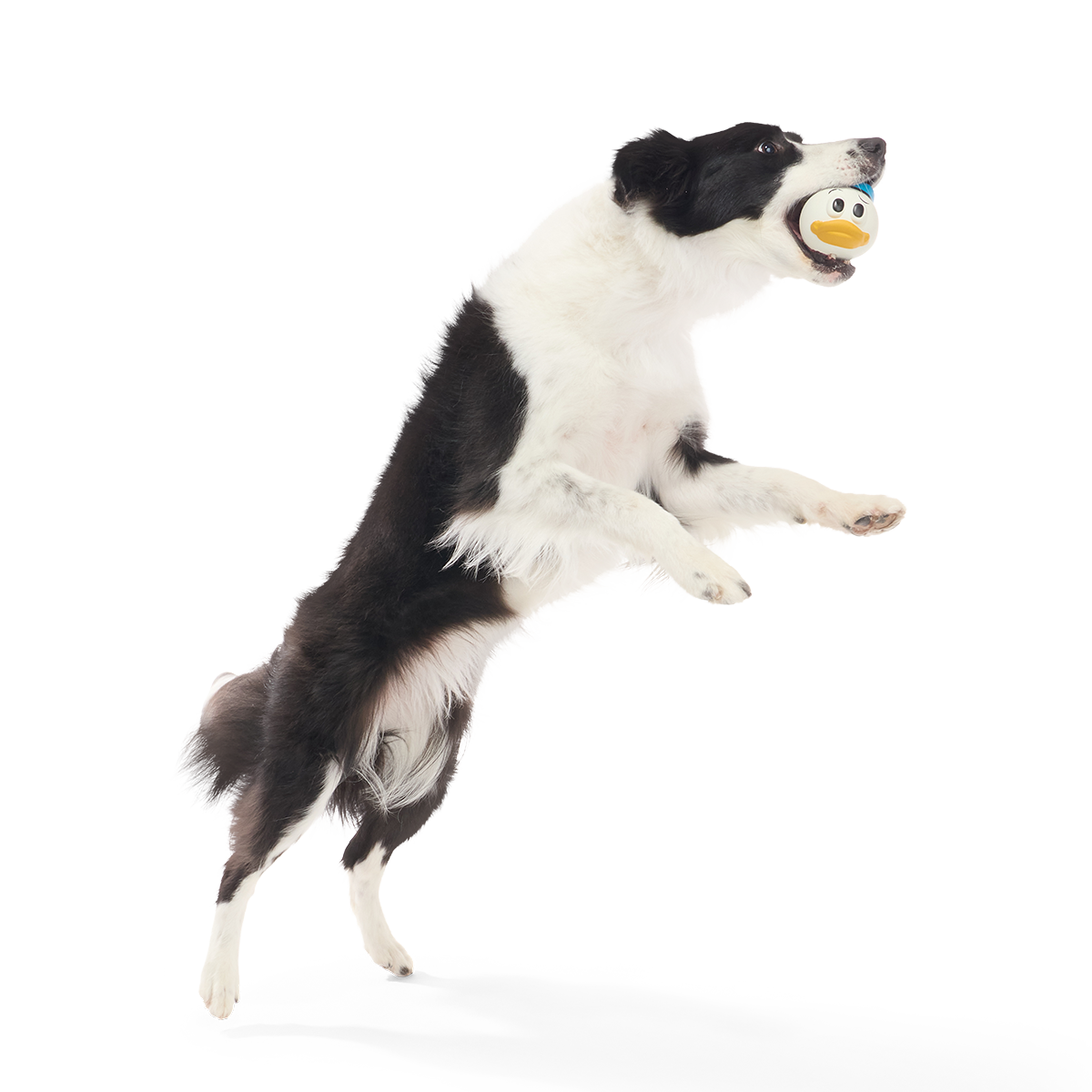 Quack Attack Donald Super Chewer Durable Fetch Dog Toy