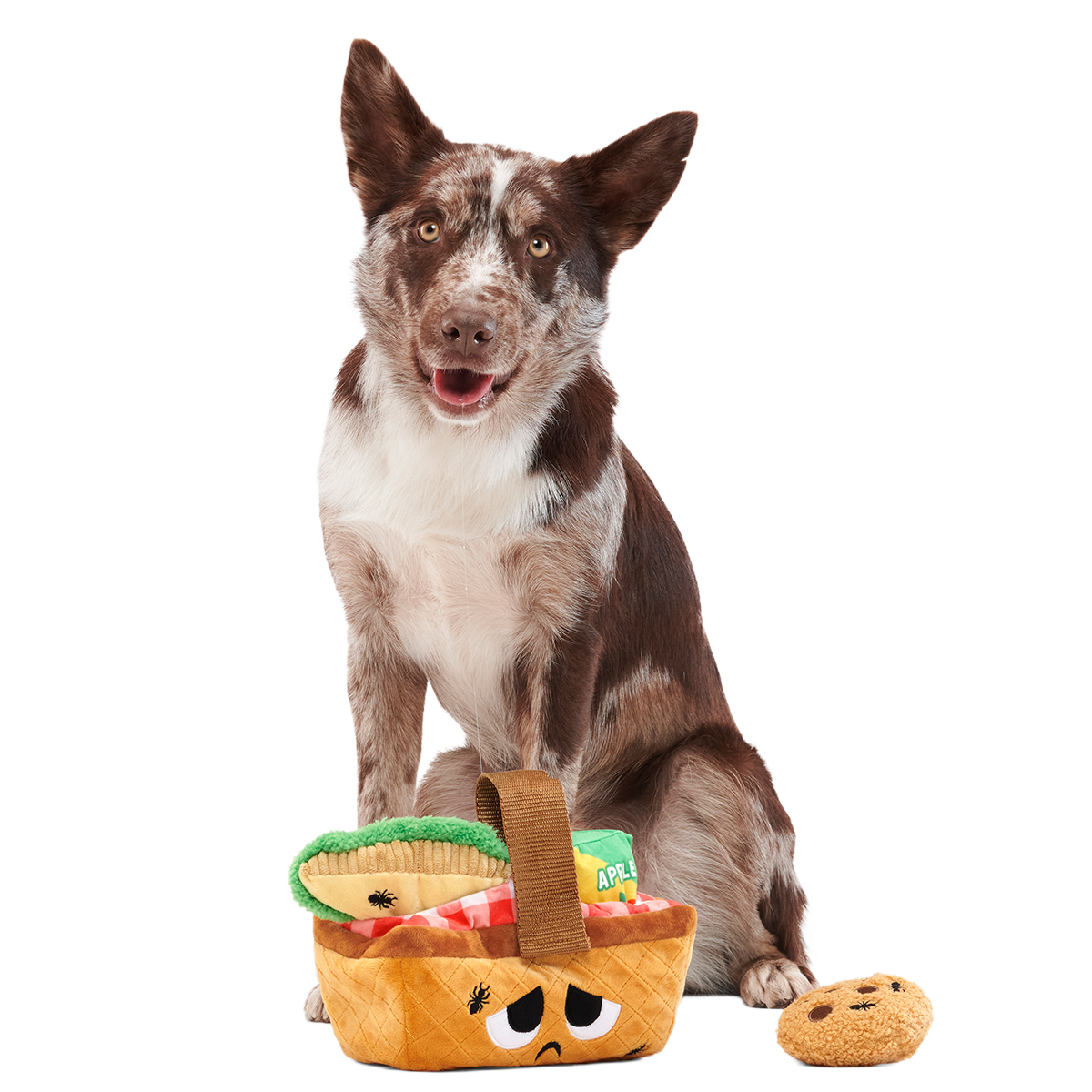 Quick Lick Picnic Plush Tug + Multi-Part + Enrichment Dog Toy
