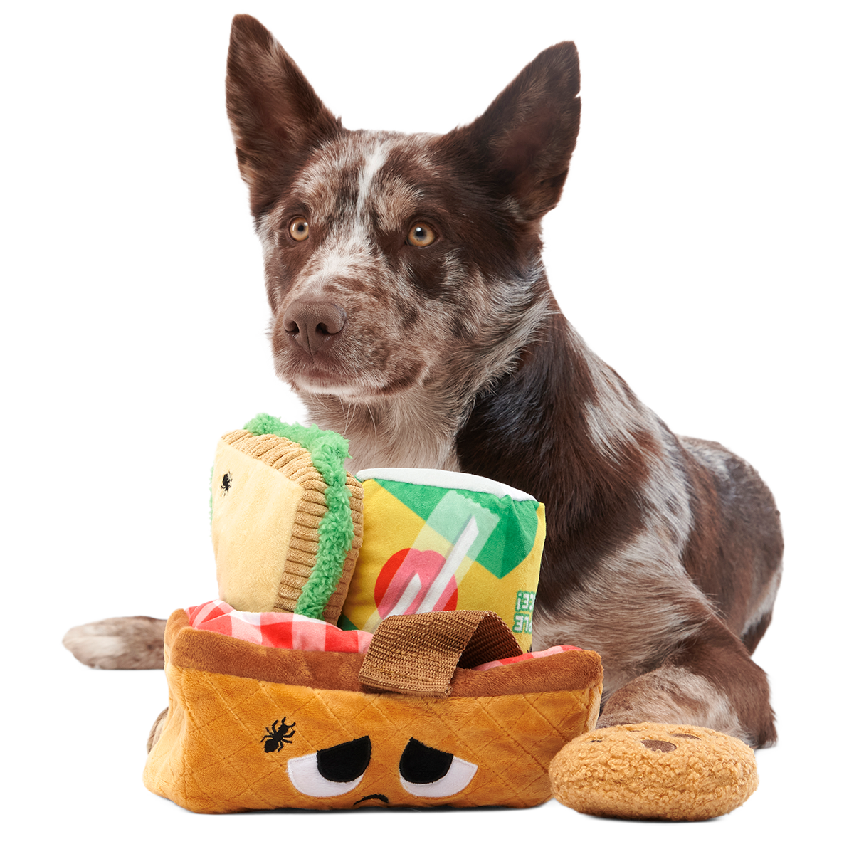 Quick Lick Picnic Plush Tug + Multi-Part + Enrichment Dog Toy