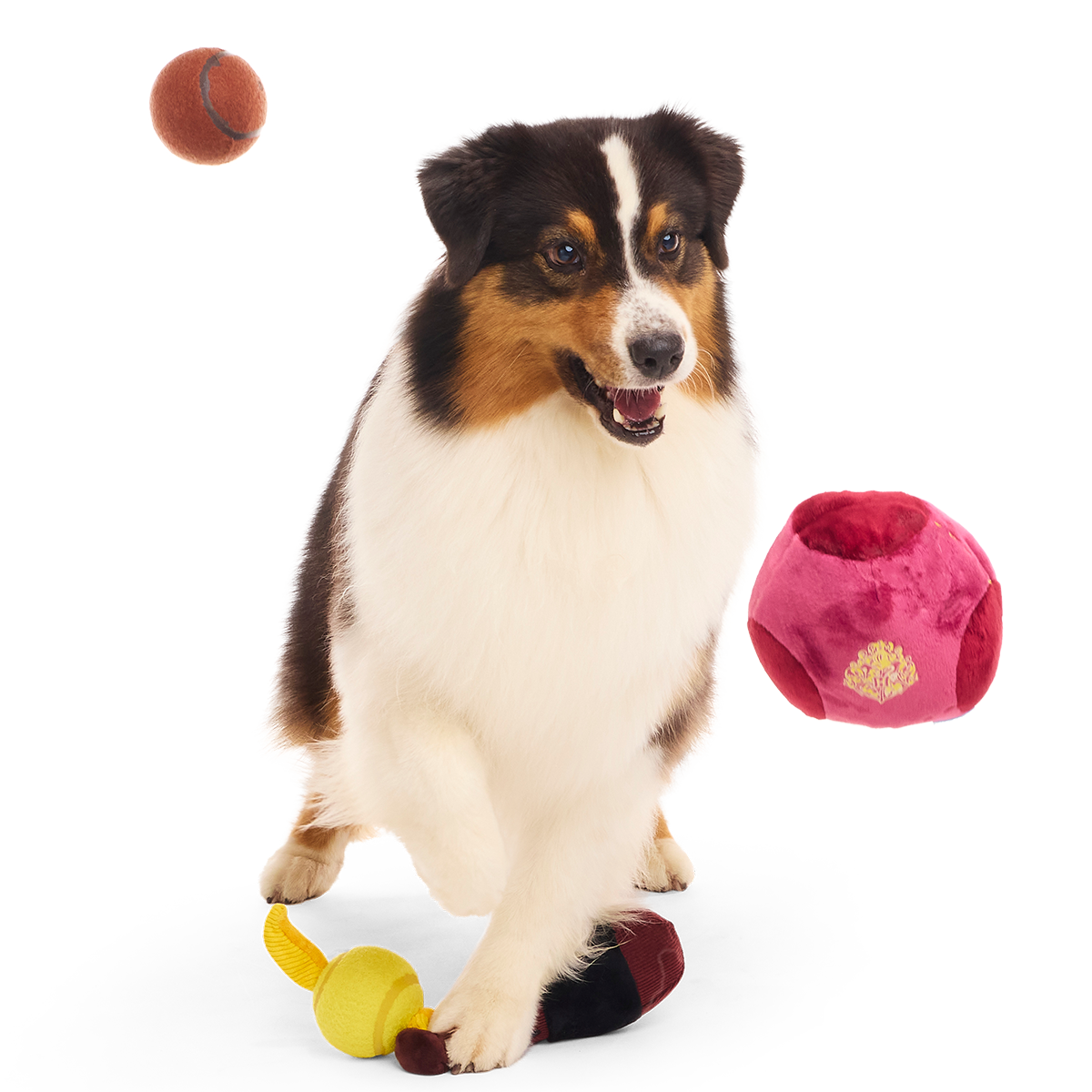 Quidditch™ Equipment Pack Plush Multi-Part + Tennis Ball Fetch Dog Toy