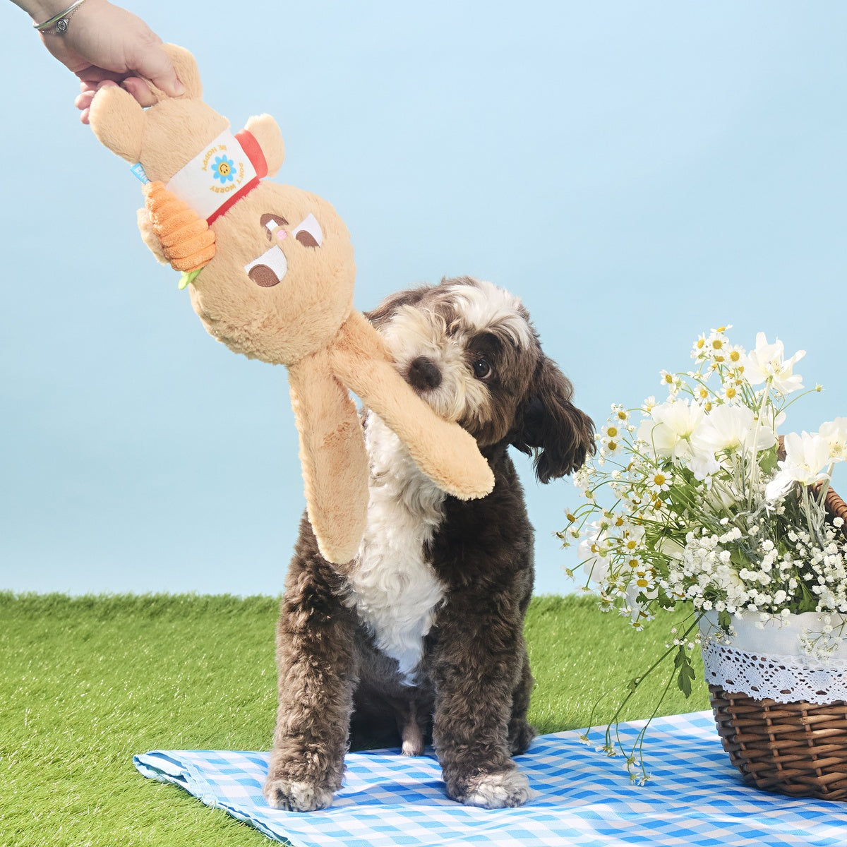 Veggie Reggie Plush Tug + Extra-Large Dog Toy