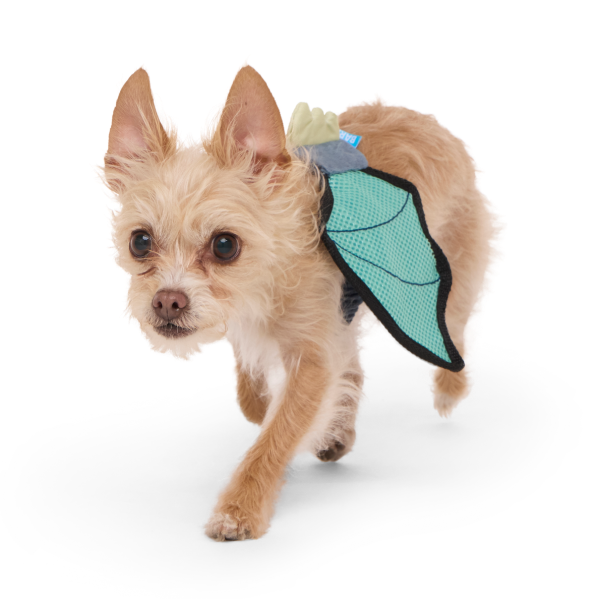 Doggo Dragon Wings Costume + Wearable Dog Toy