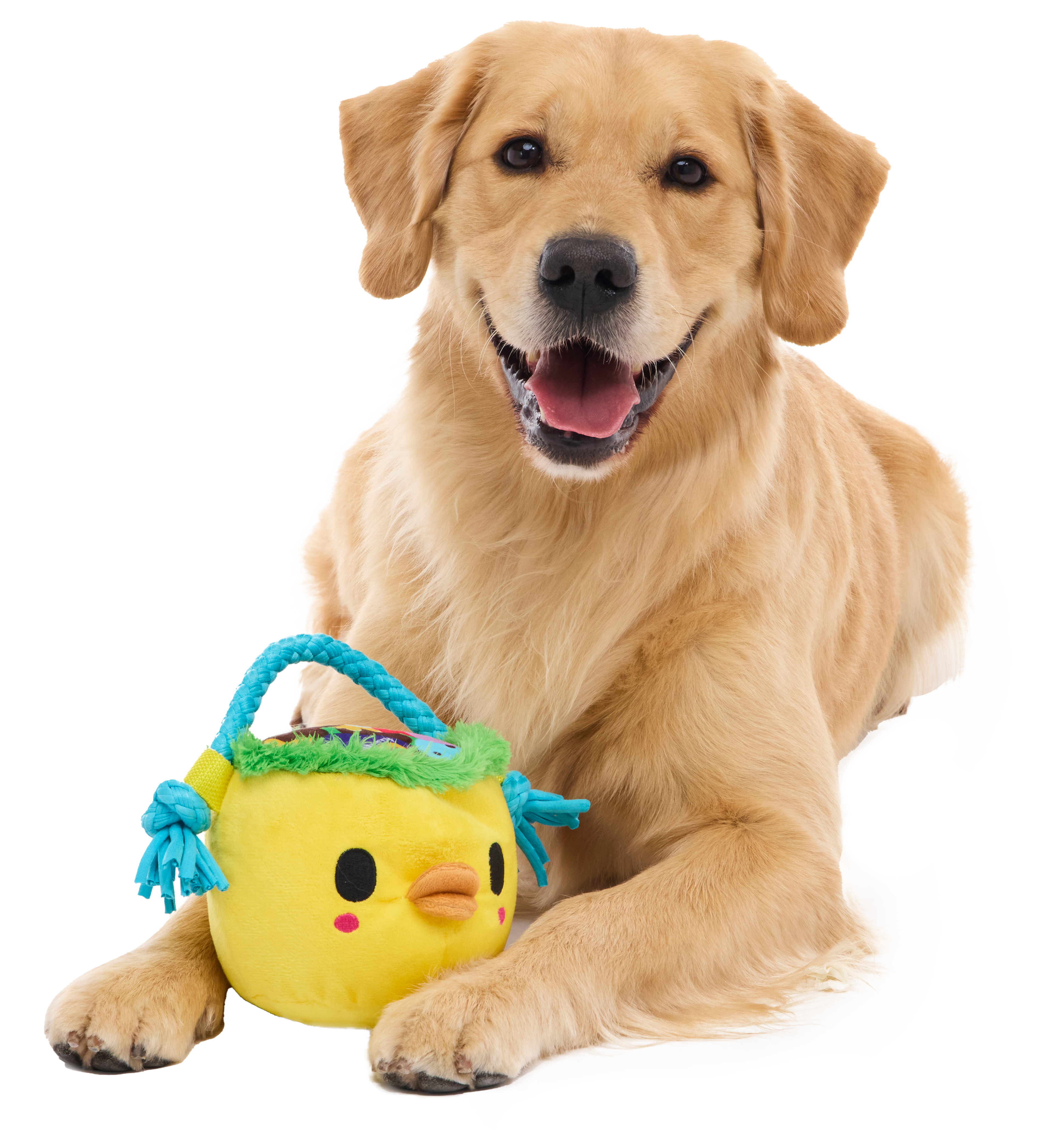 Chicky's Easter Candy