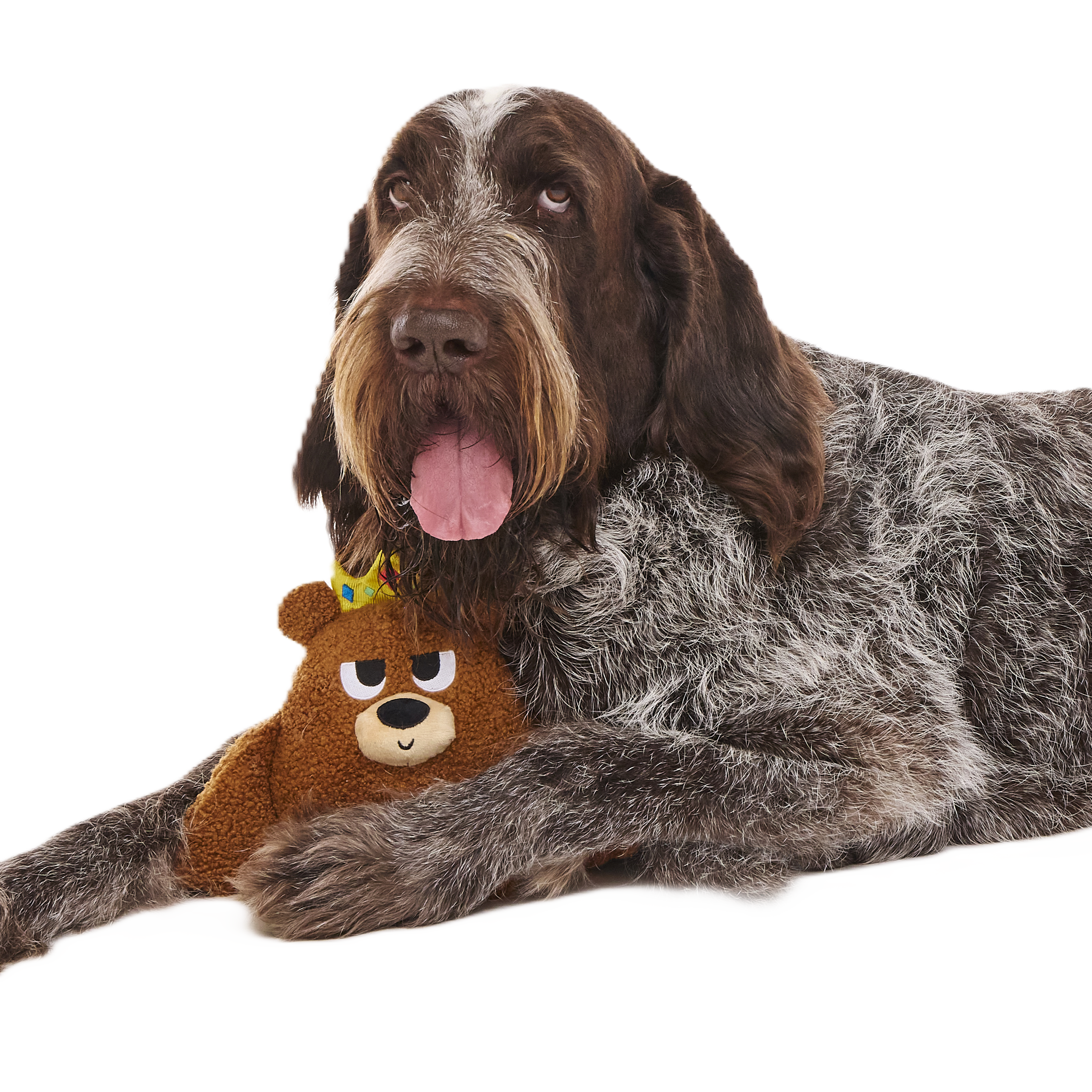 King Bearthur Plush Tug Dog Toy