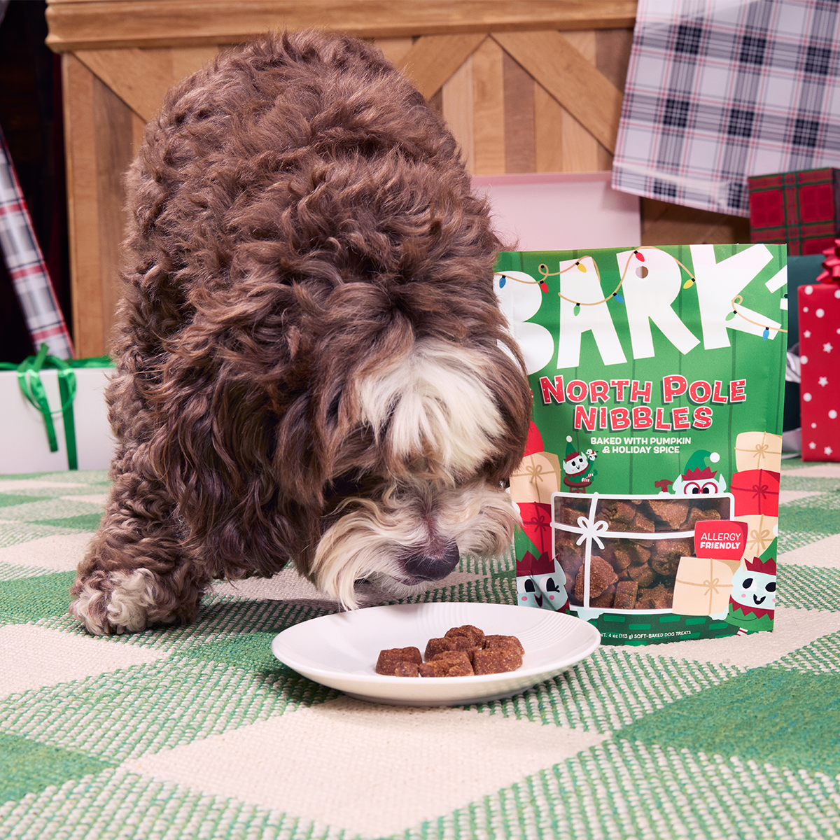 Ho Ho Go Dog Toy and Dog Treat Bundle