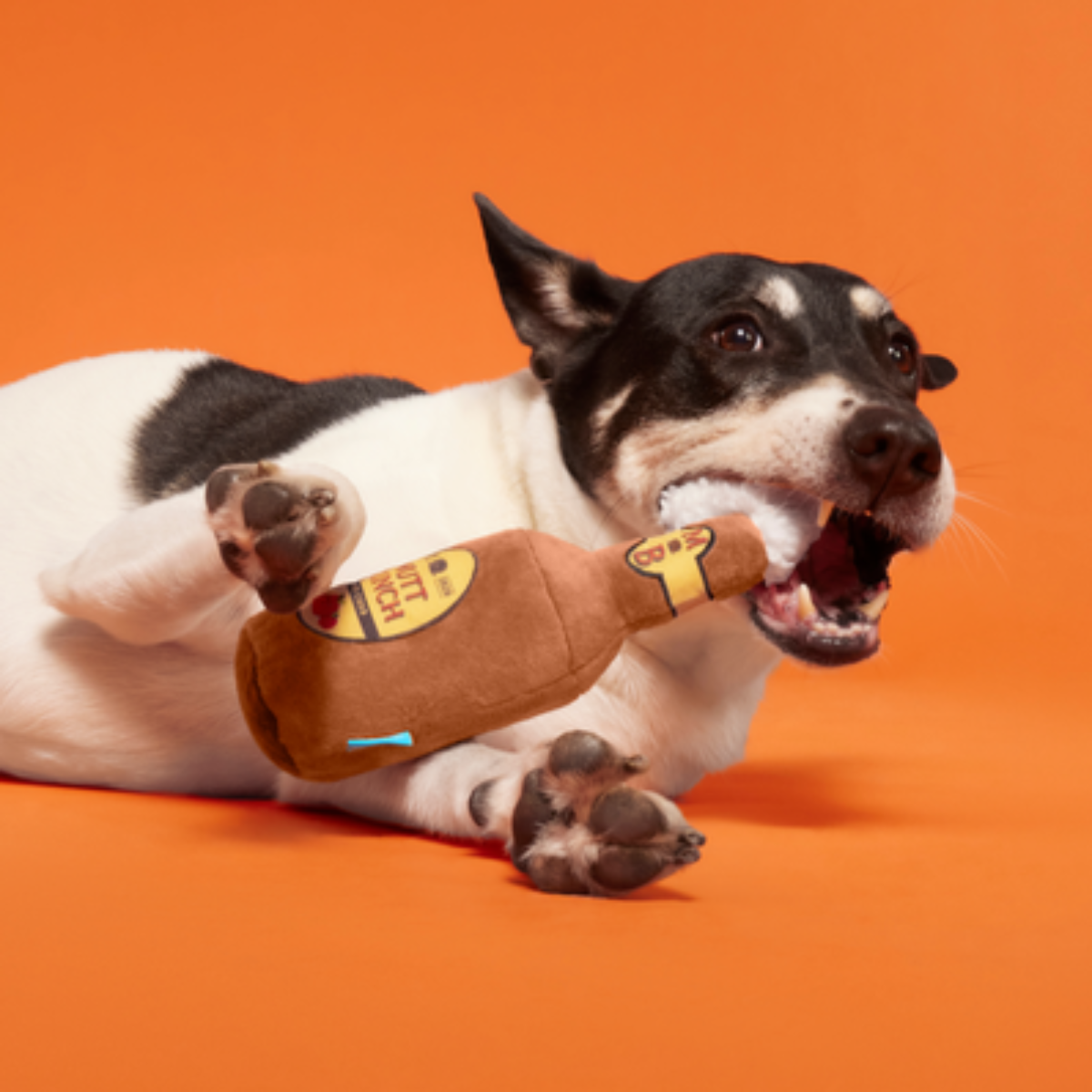 Mutt Bunch Hard Cider