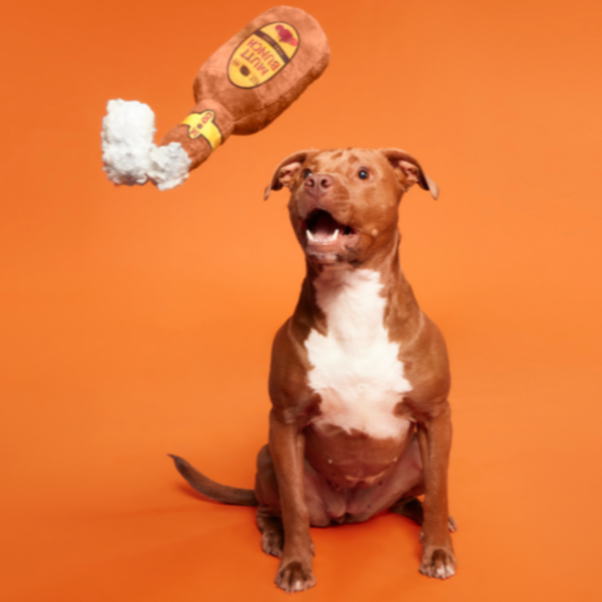 Mutt Bunch Hard Cider