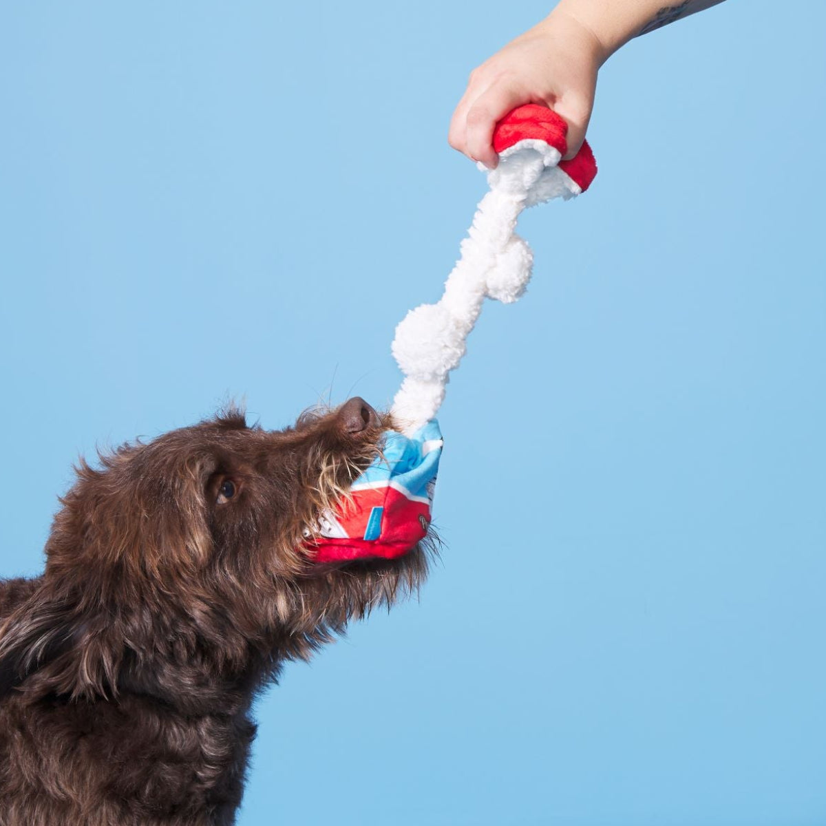 Poopies N' Cream Plush Tug + Enrichment Dog Toy