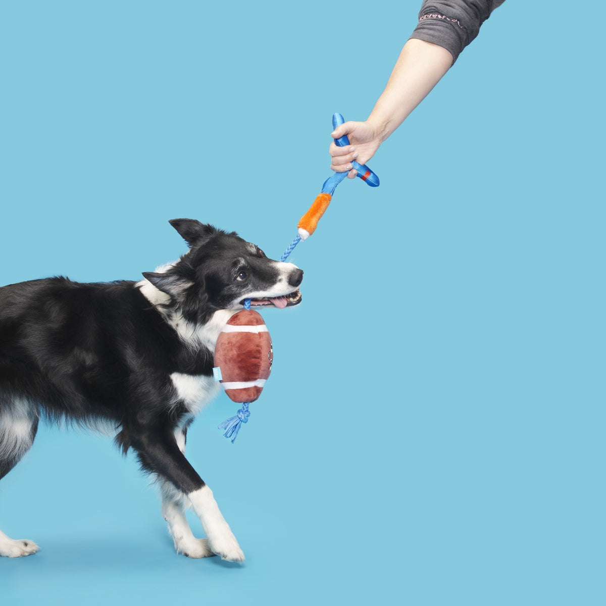 RETAIL_209074_WHOLE-CANINE-YARDS_18215_cropped#Size_M/L