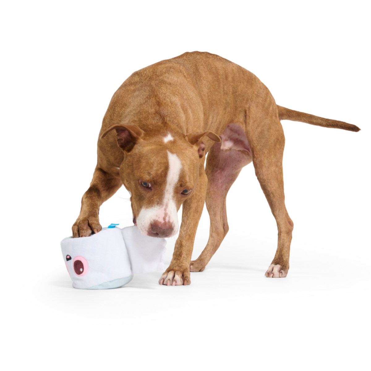 Pottymouth Pete Plush 2-in-1 Rip and Reveal Dog Toy