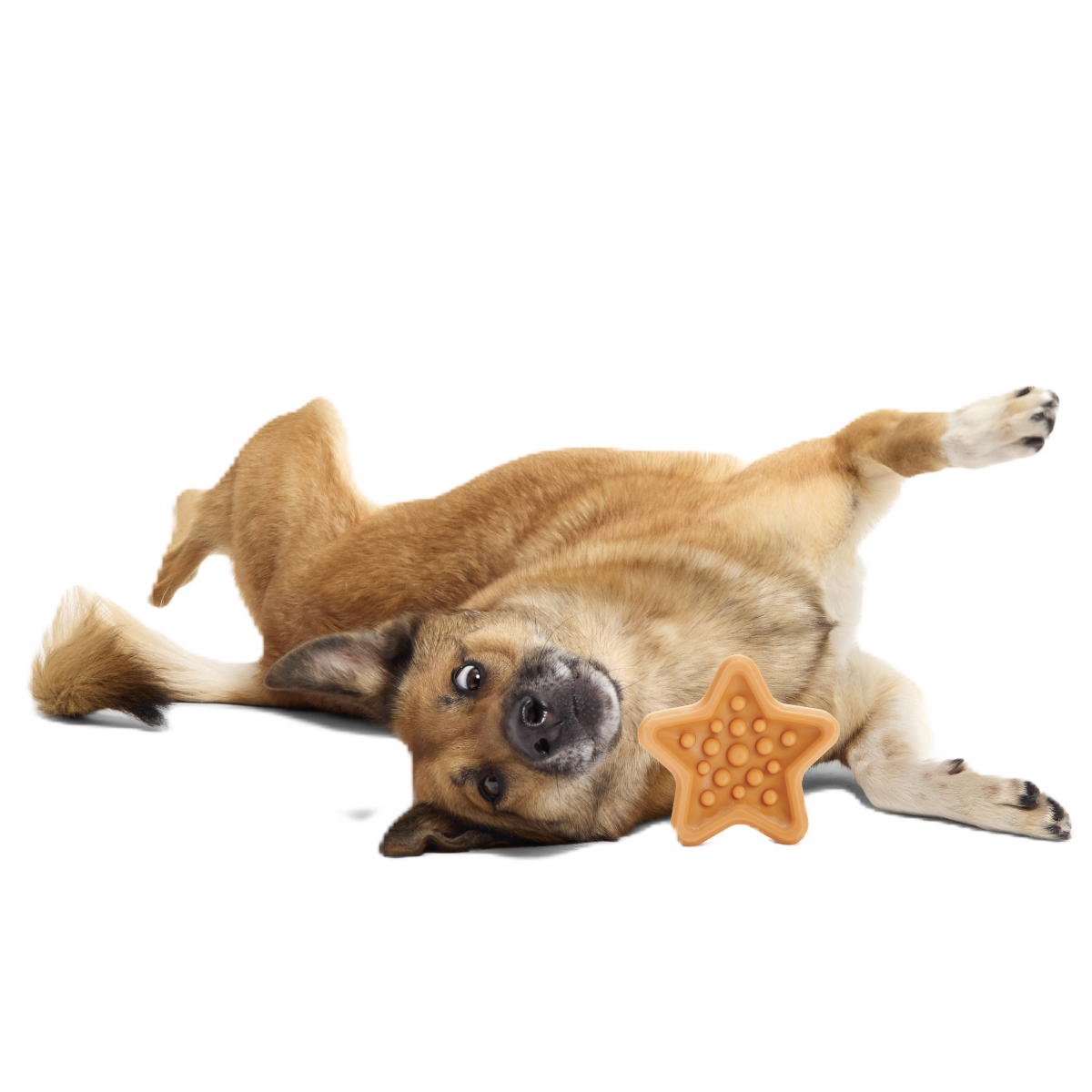 Starfish Snacker Super Chewer Durable Enrichment Dog Toy