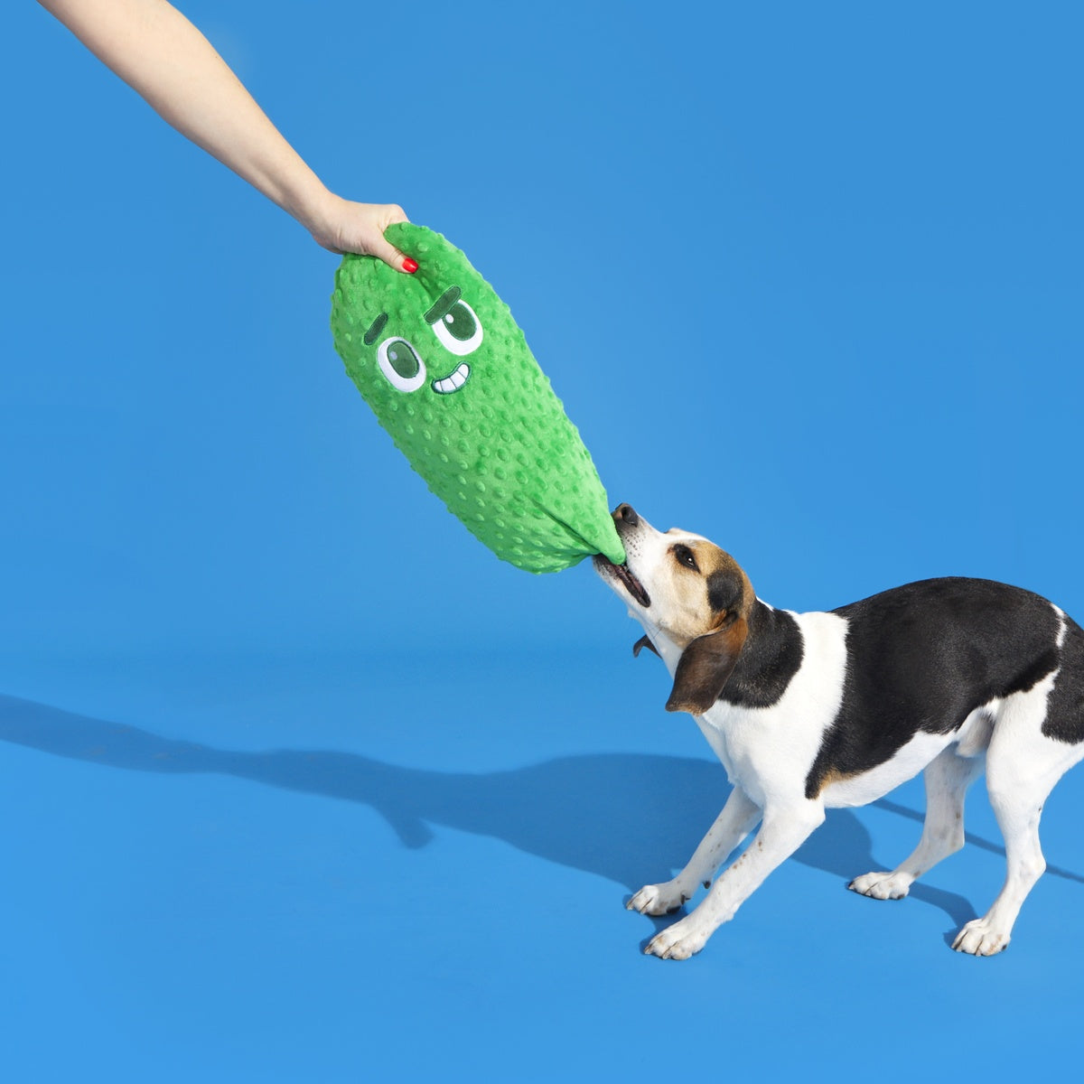 Big Dill Bill Plush Extra-Large Tug Dog Toy