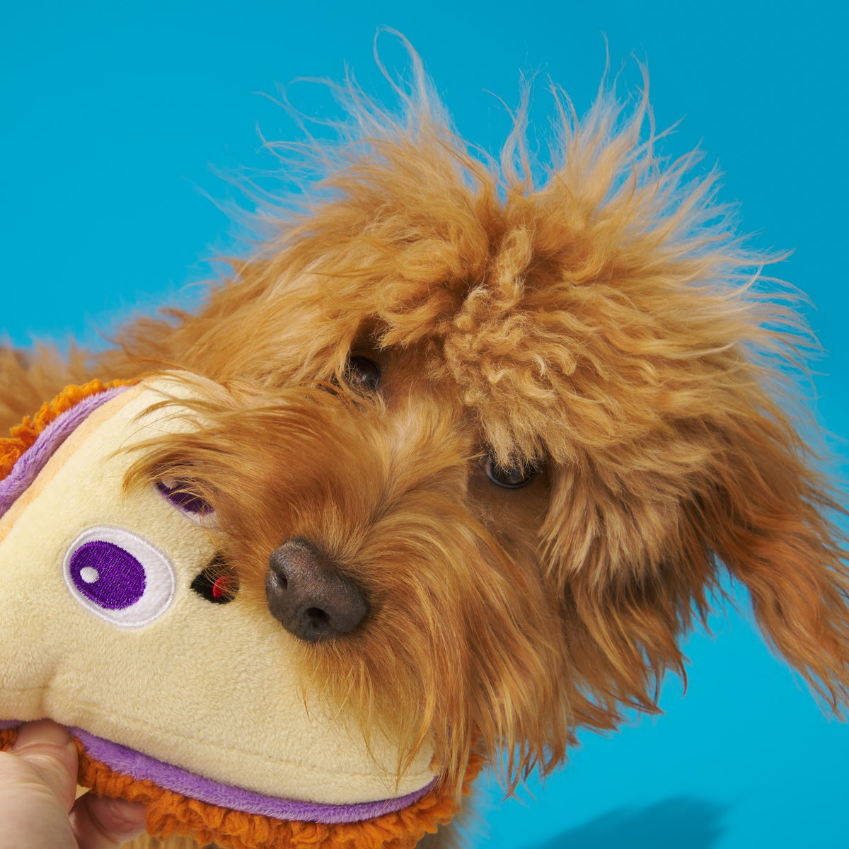 Sammy & The Juice Plush Multi-Part Dog Toy