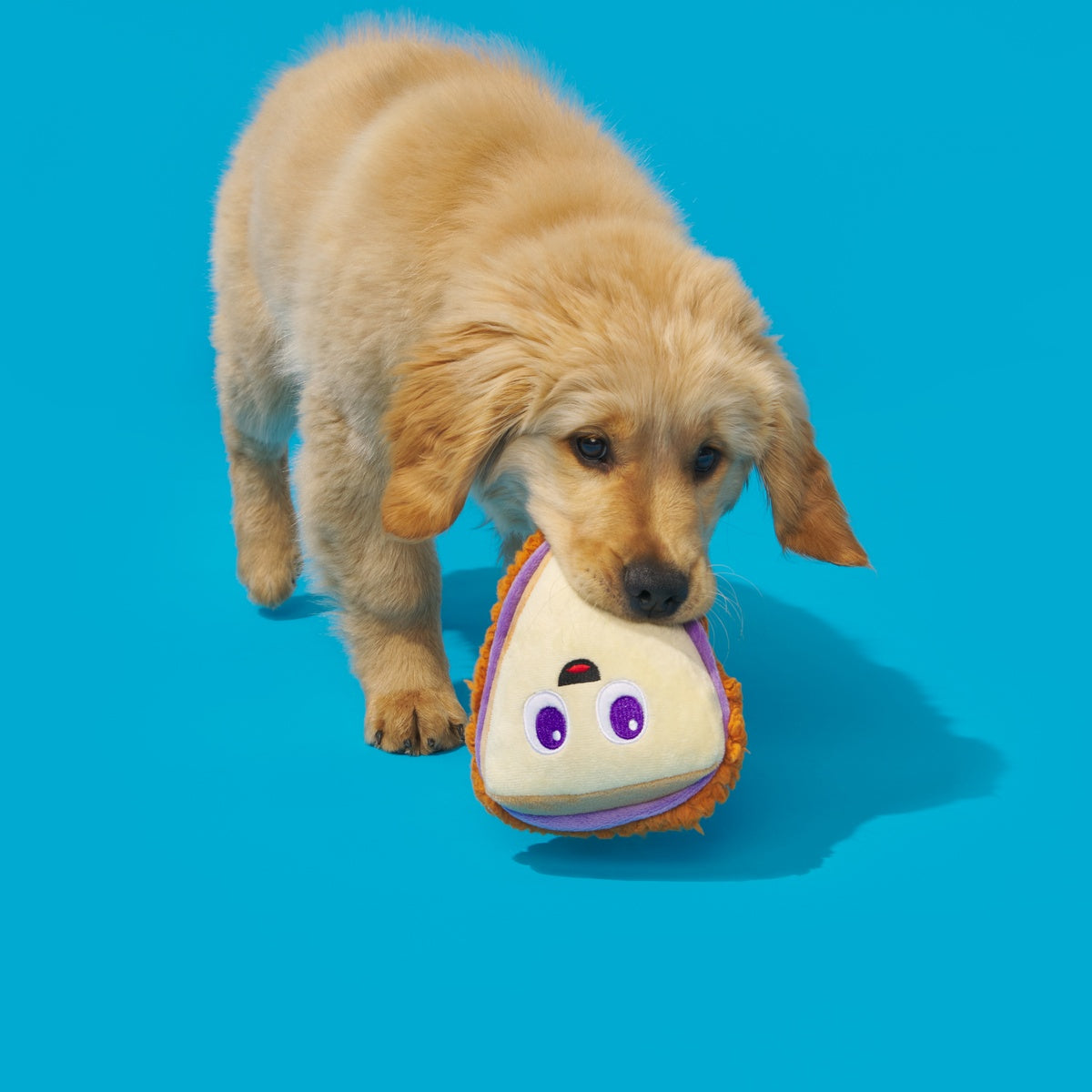 Sammy & The Juice Plush Multi-Part Dog Toy