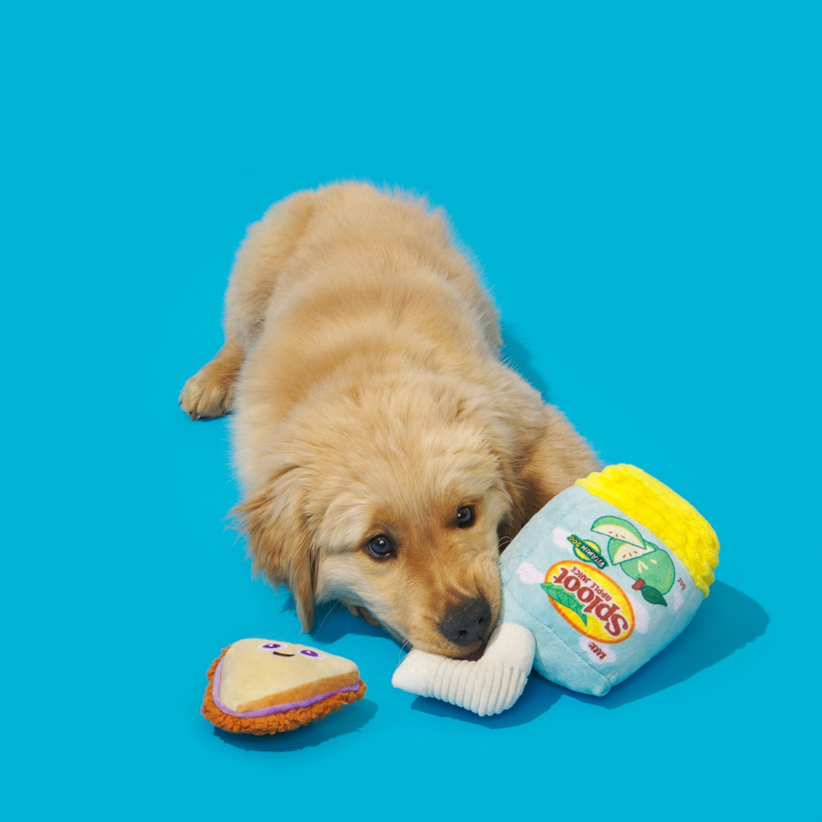 Sammy & The Juice Plush Multi-Part Dog Toy