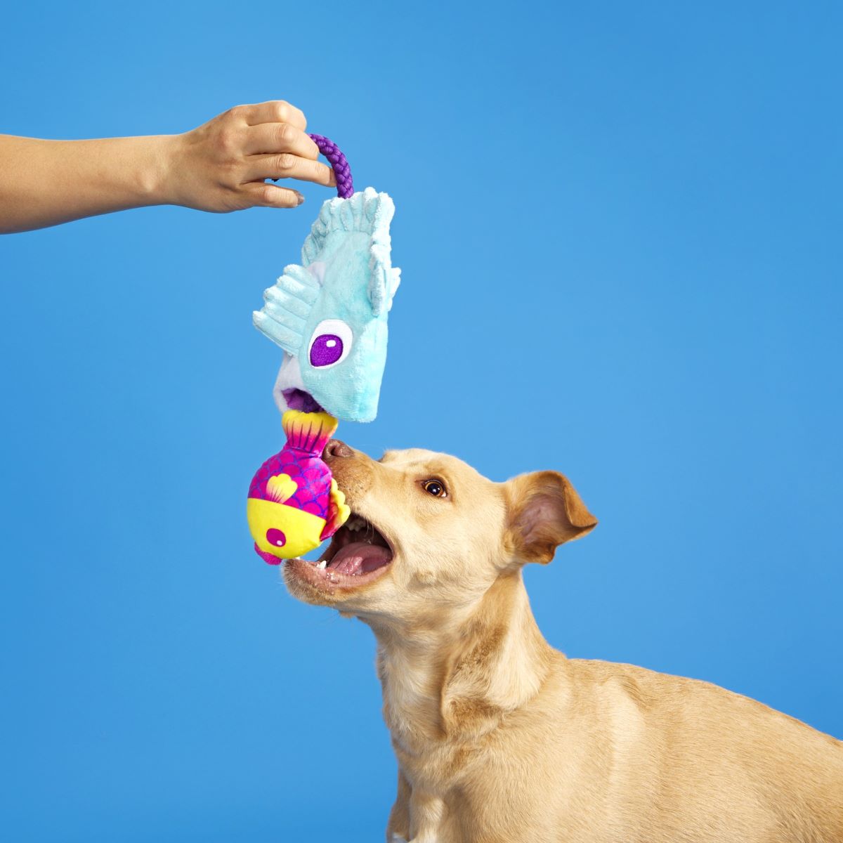 Bottom Feeders Plush Tug Dog Toy