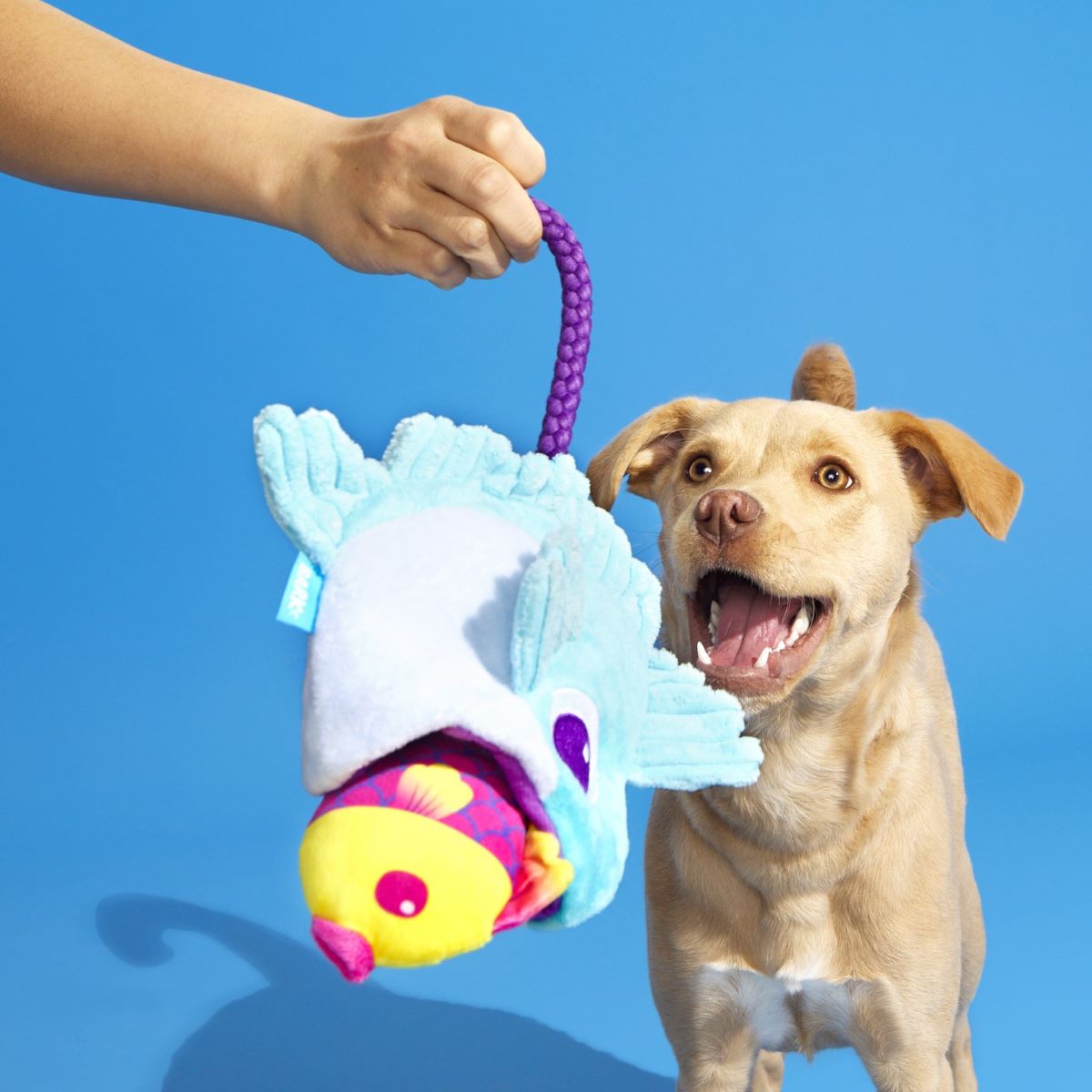 Bottom Feeders Plush Tug Dog Toy