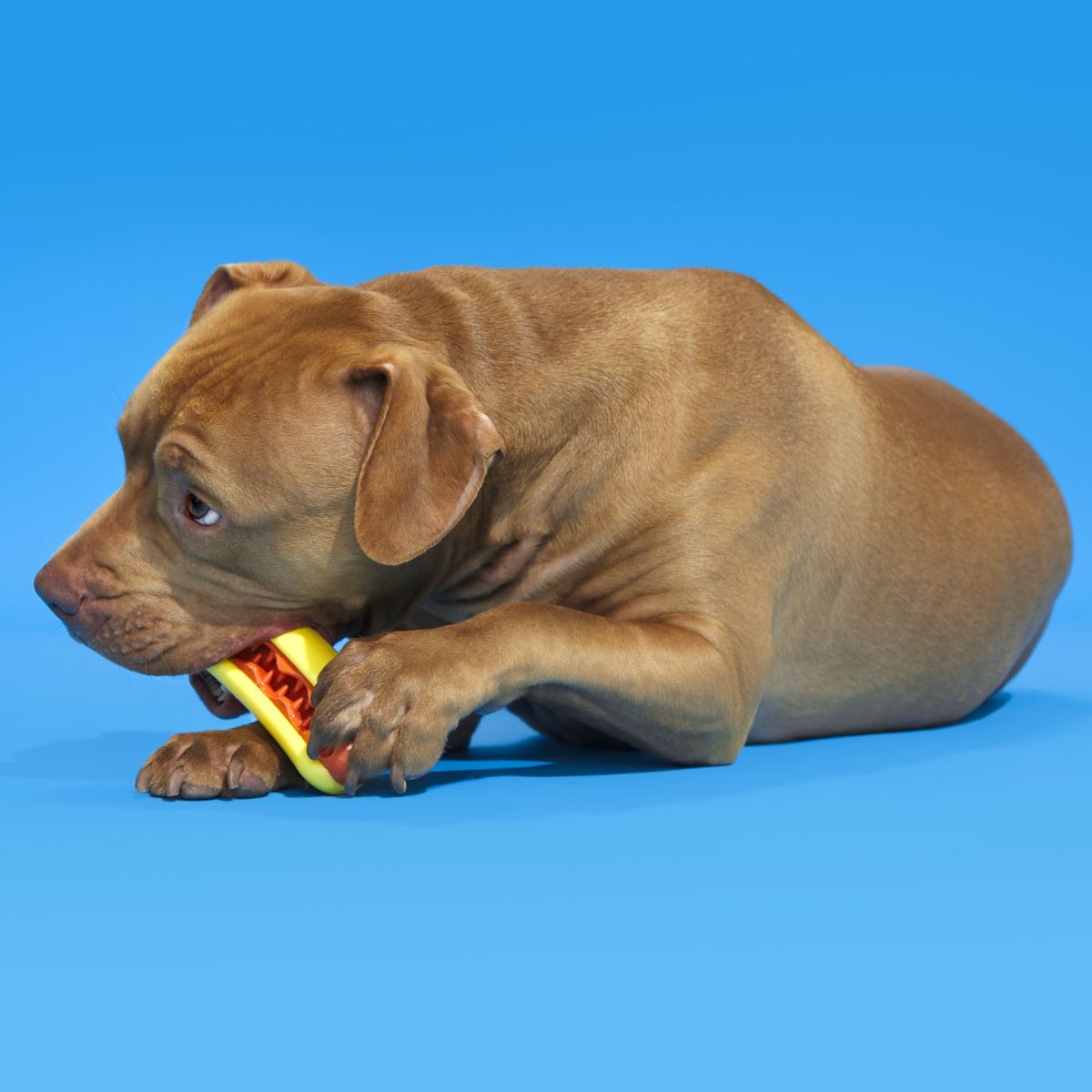 Treat Meat Hotdog Super Chewer Durable Enrichment Dog Toy
