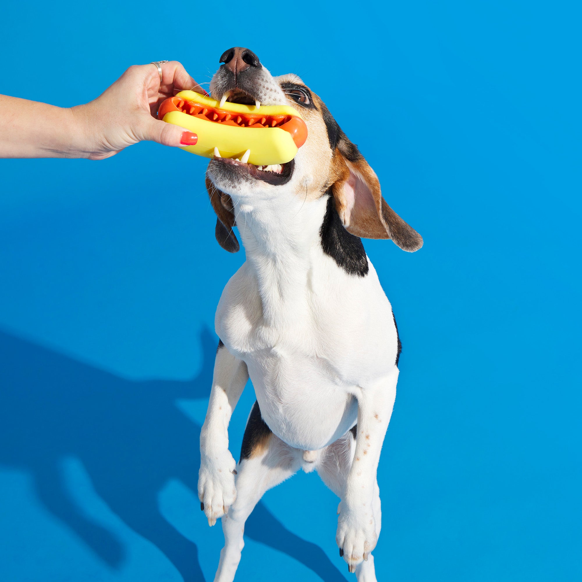 Treat Meat Hot Dog