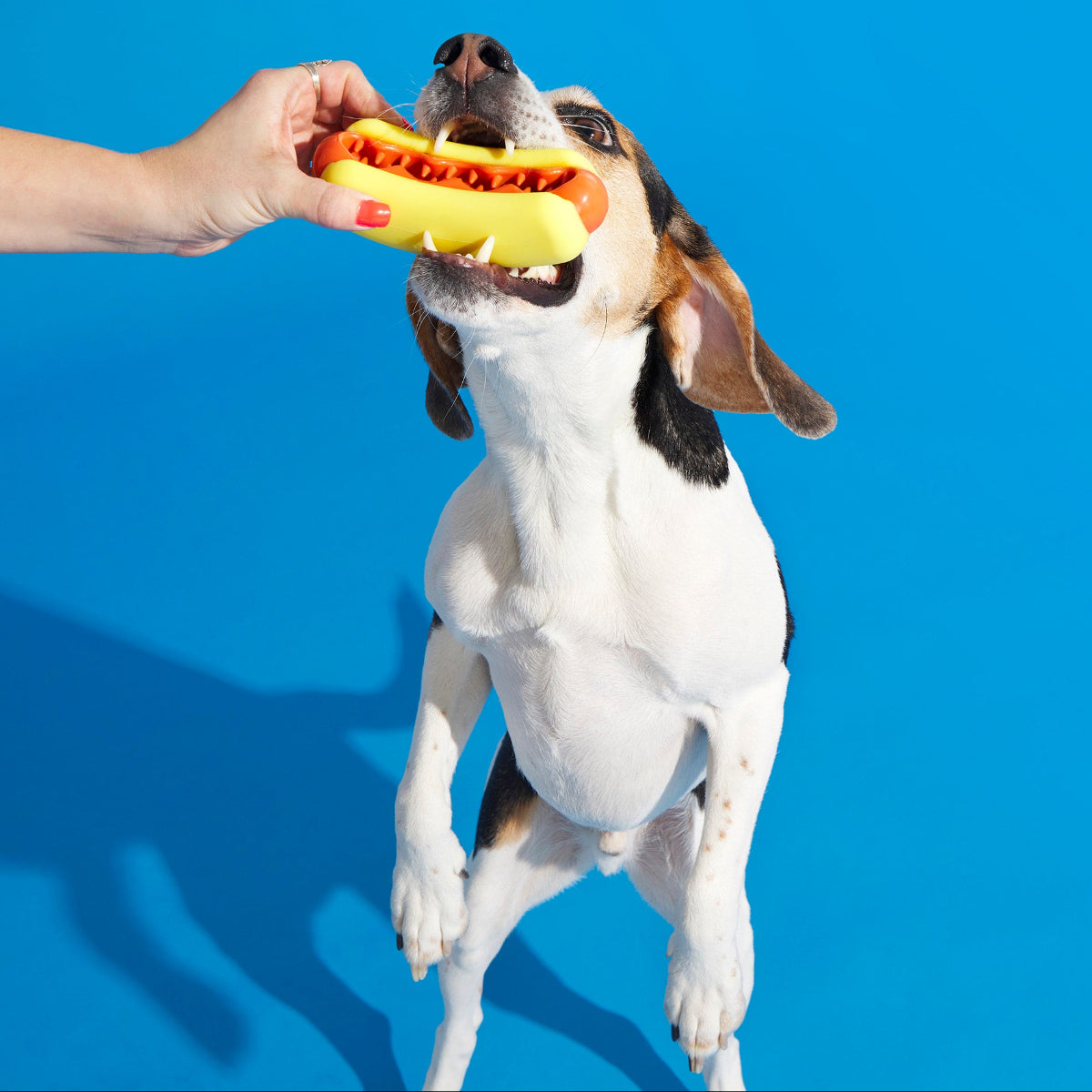 Treat Meat Hot Dog
