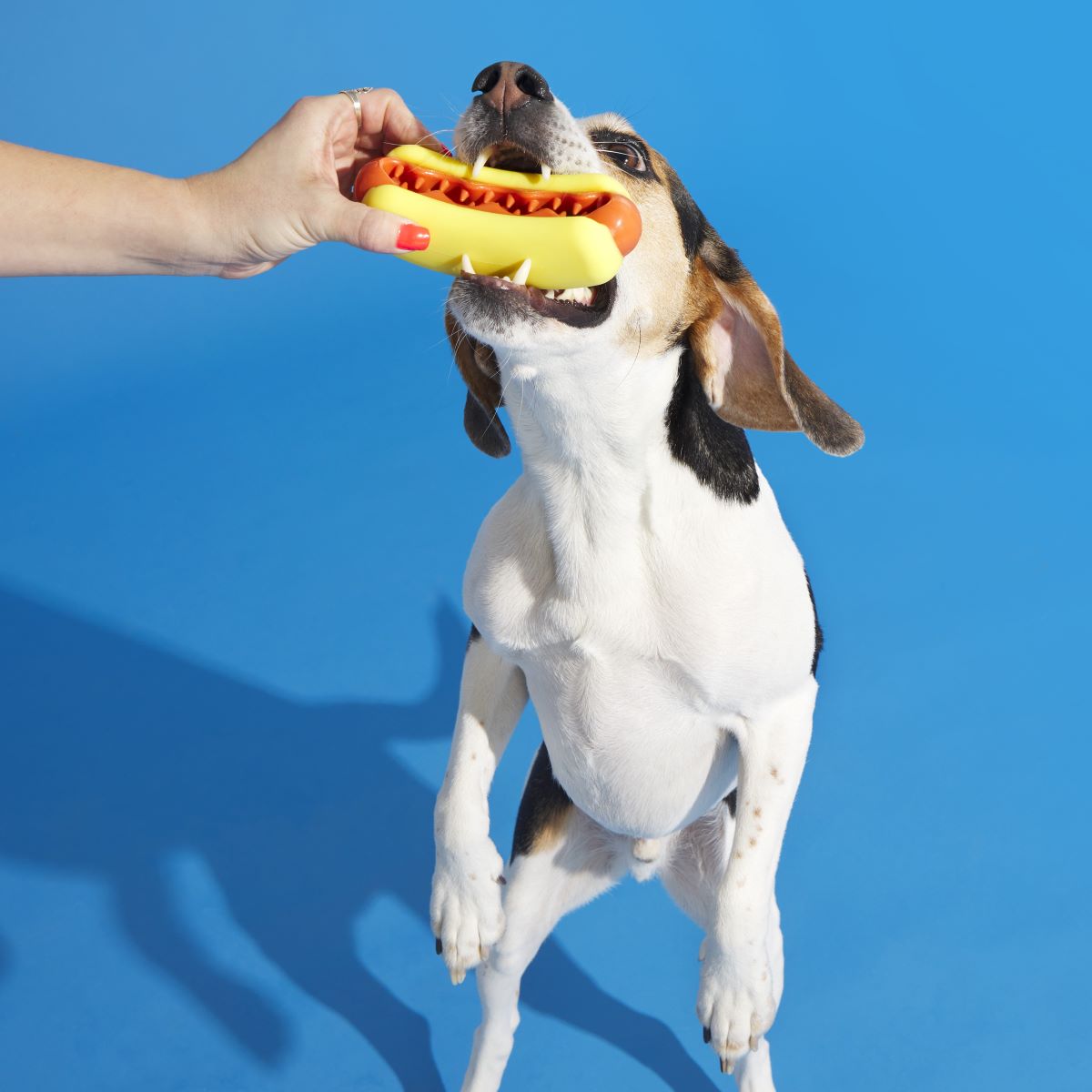 Treat Meat Hotdog Super Chewer Durable Enrichment Dog Toy