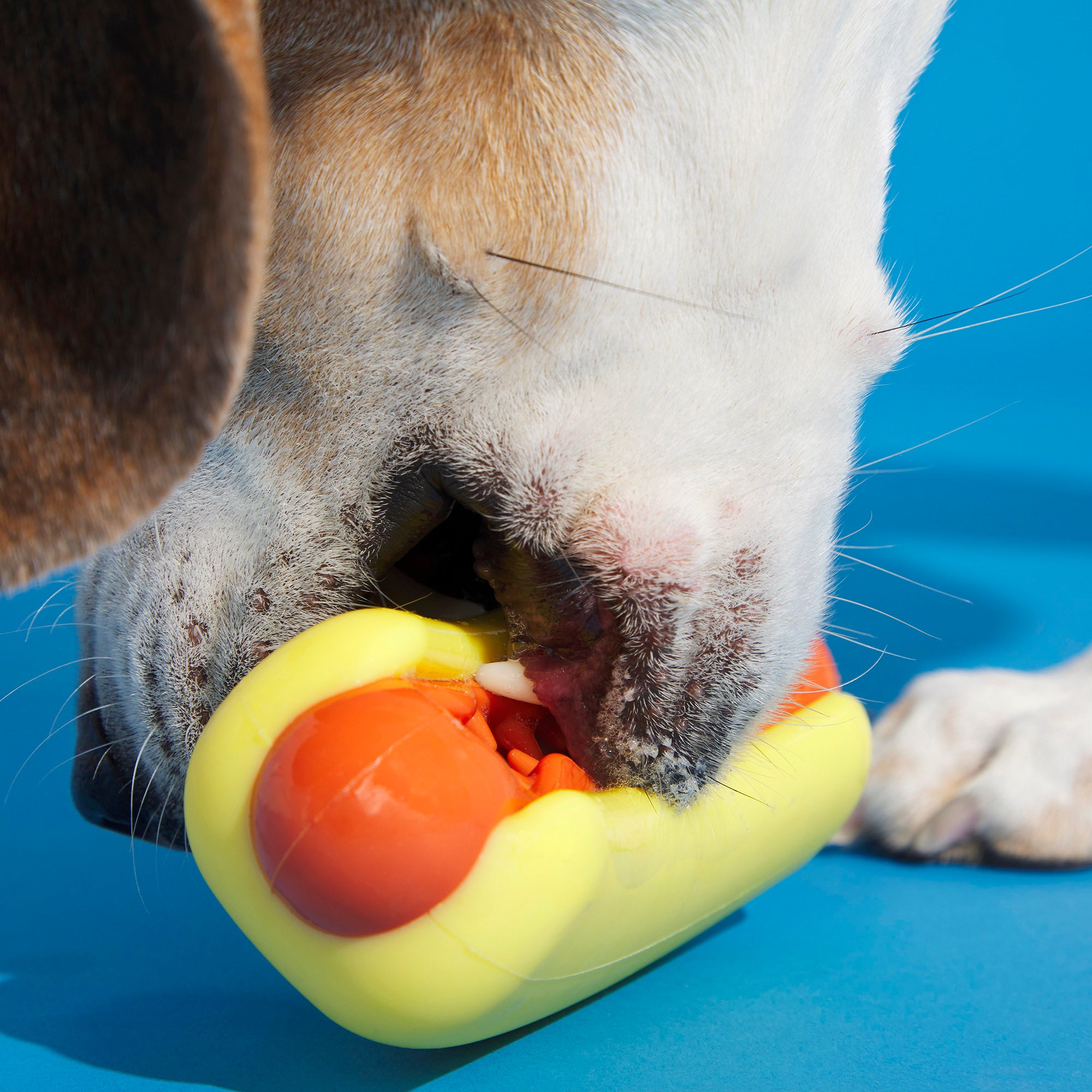 Treat Meat Hot Dog Toy