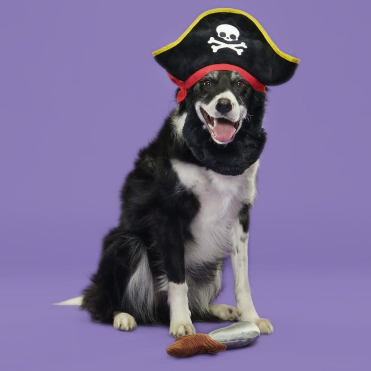 Bark Beard Plush Multi-Part + Wearable Dog Toy