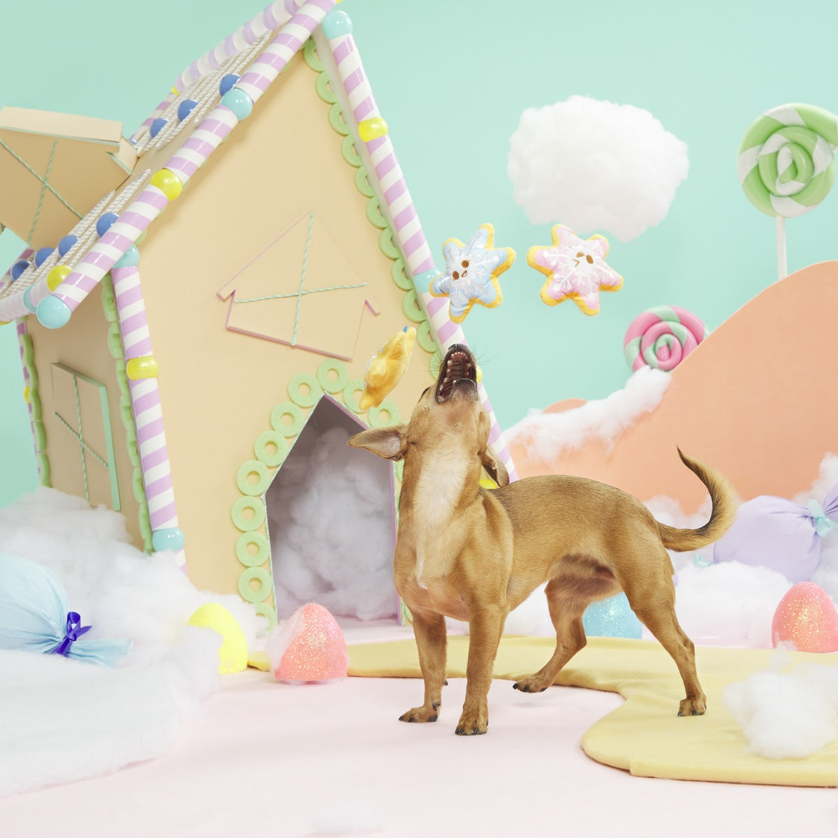 Flake N' Bake Cookies