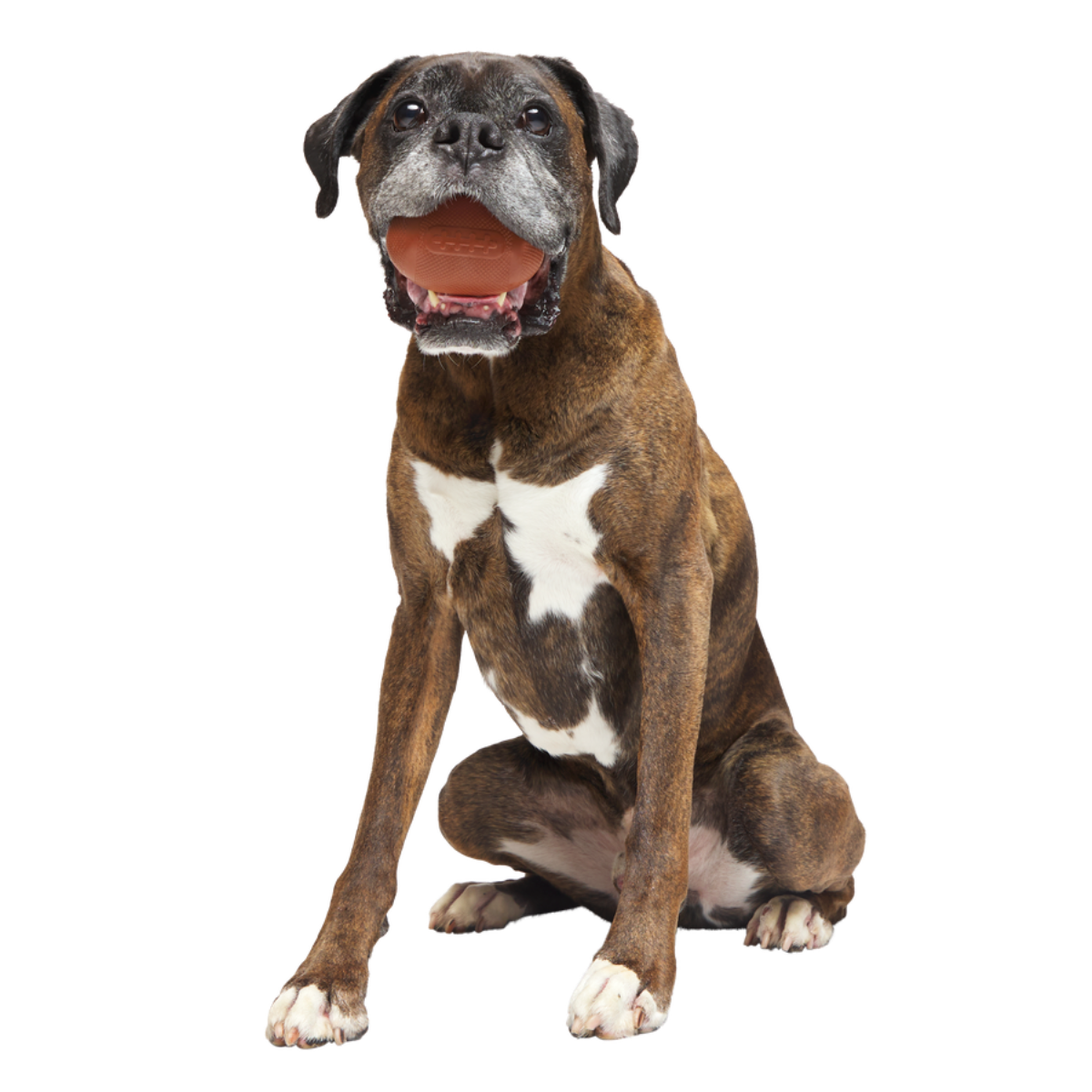 Chompionship Football Super Chewer Durable Fetch Dog Toy
