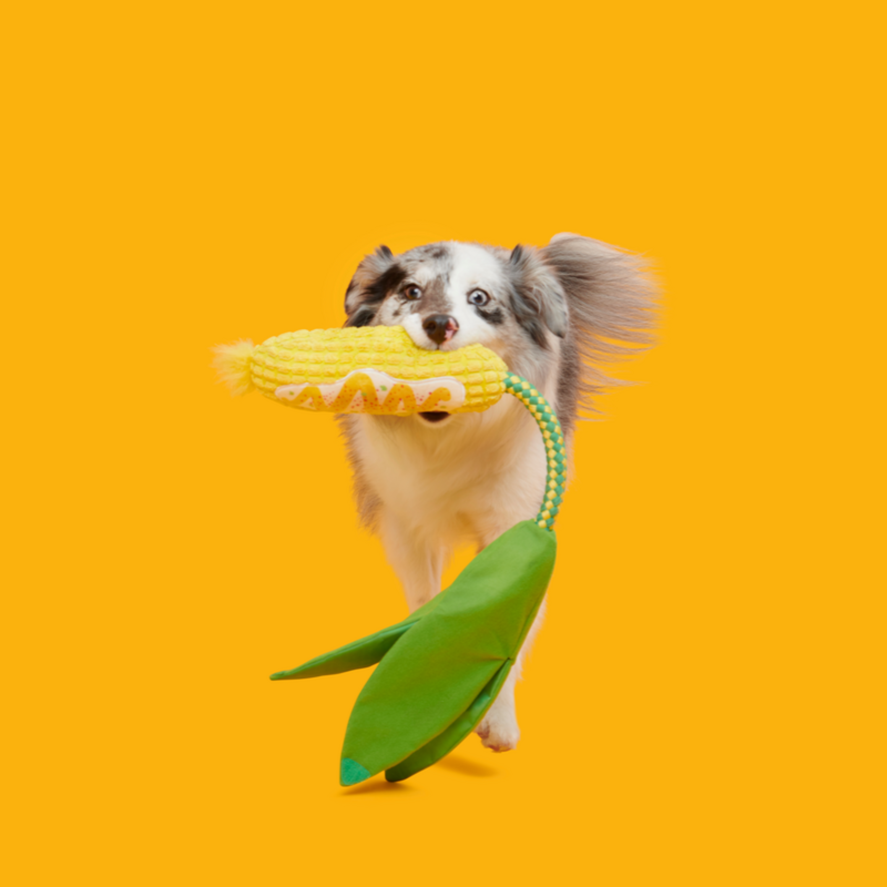 Elote Fun Corn Plush Tug Dog Toy