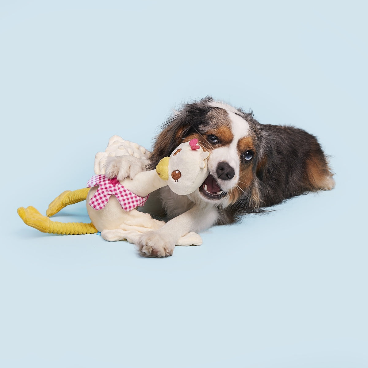 Farmer's Barket Gingham Goose Plush Tug + Extra-Large Dog Toy