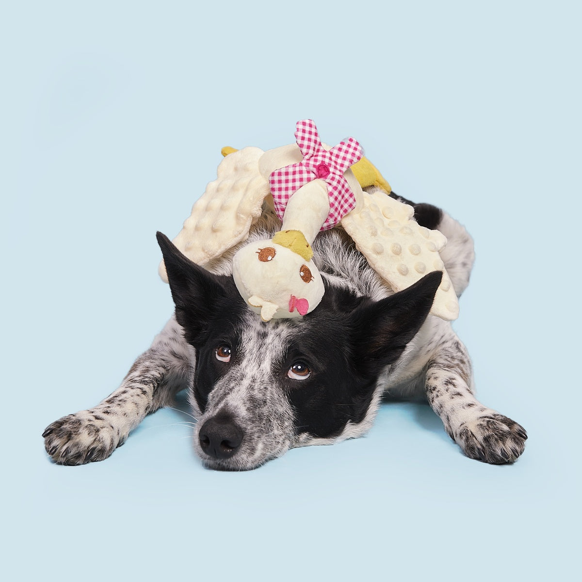 Farmer's Barket Gingham Goose Plush Tug + Extra-Large Dog Toy