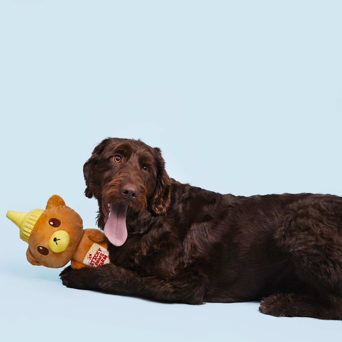 Sticky Paws Honey Bear