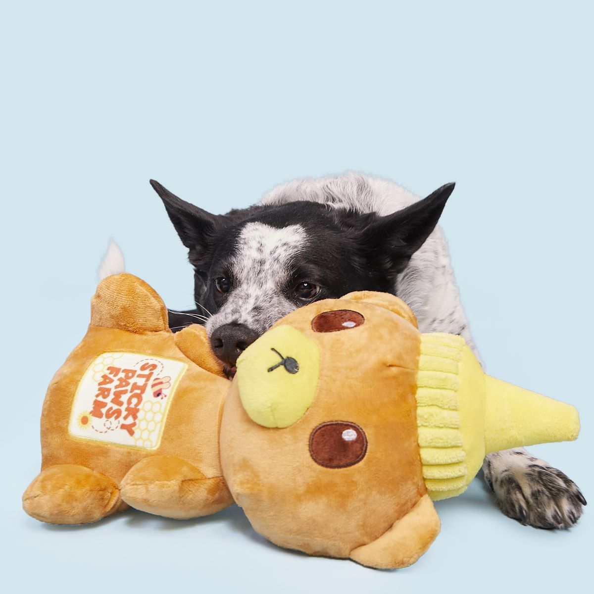 Sticky Paws Honey Bear