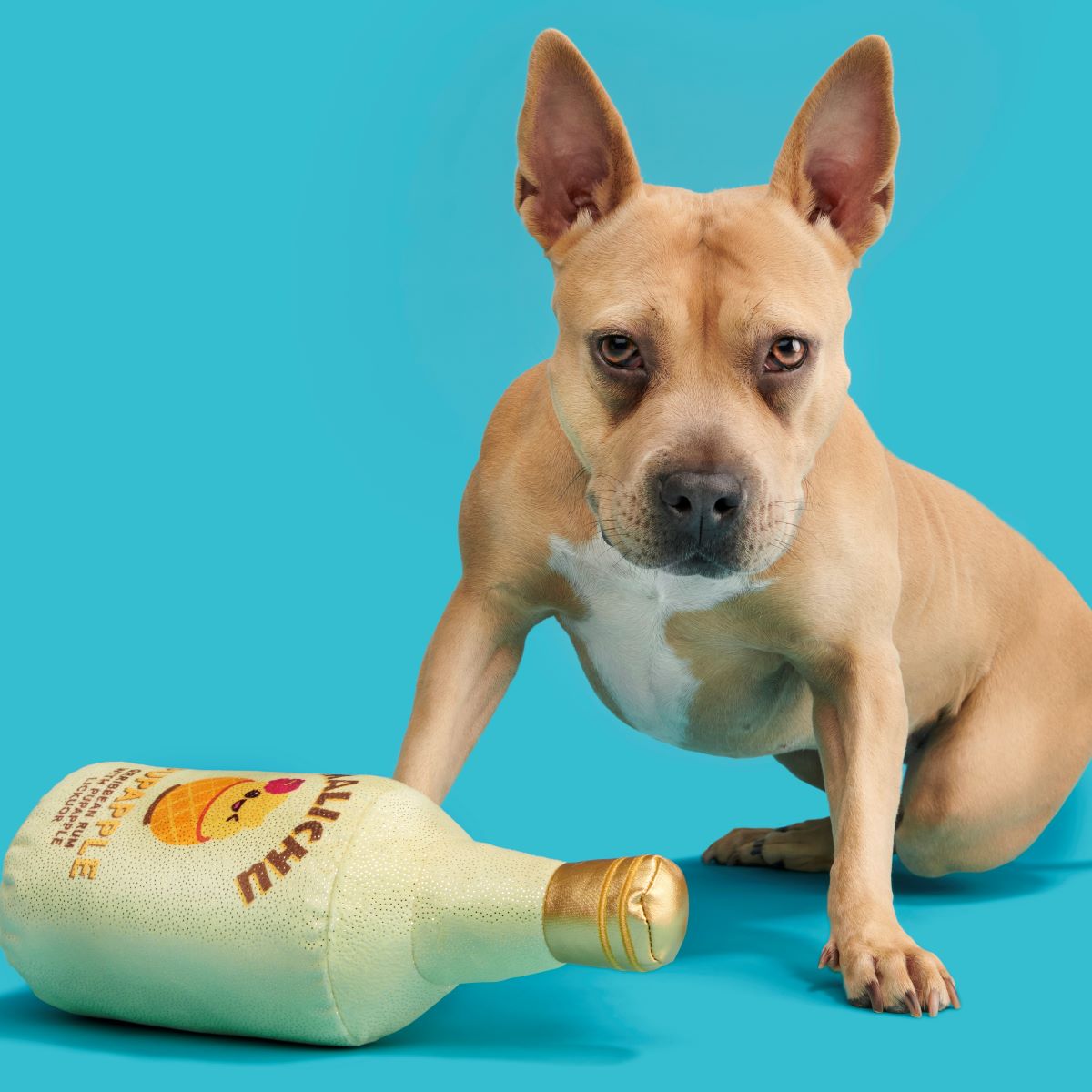 Malichu Rum Plush Extra-Large + Tug Dog Toy