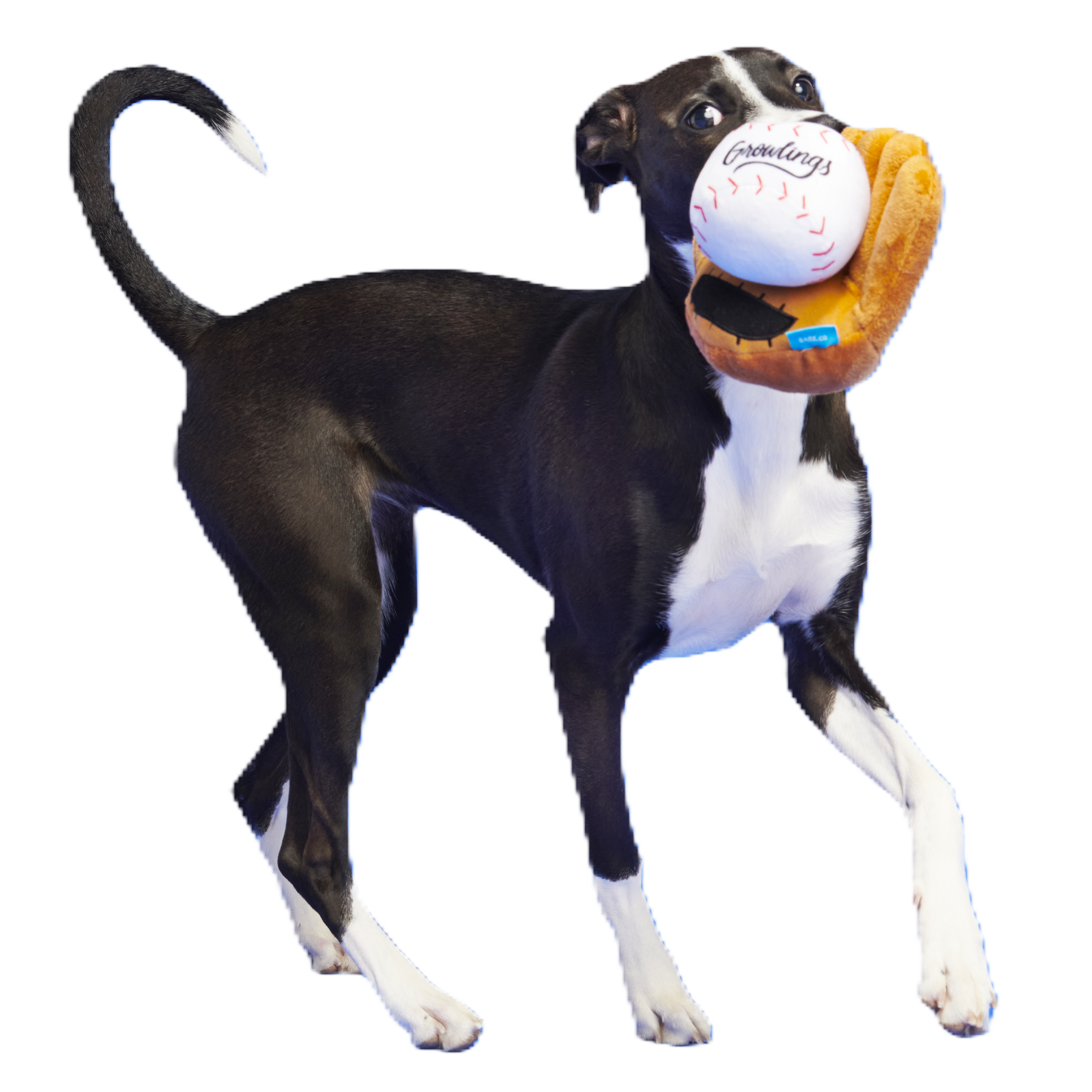 Growlings Baseball Glove